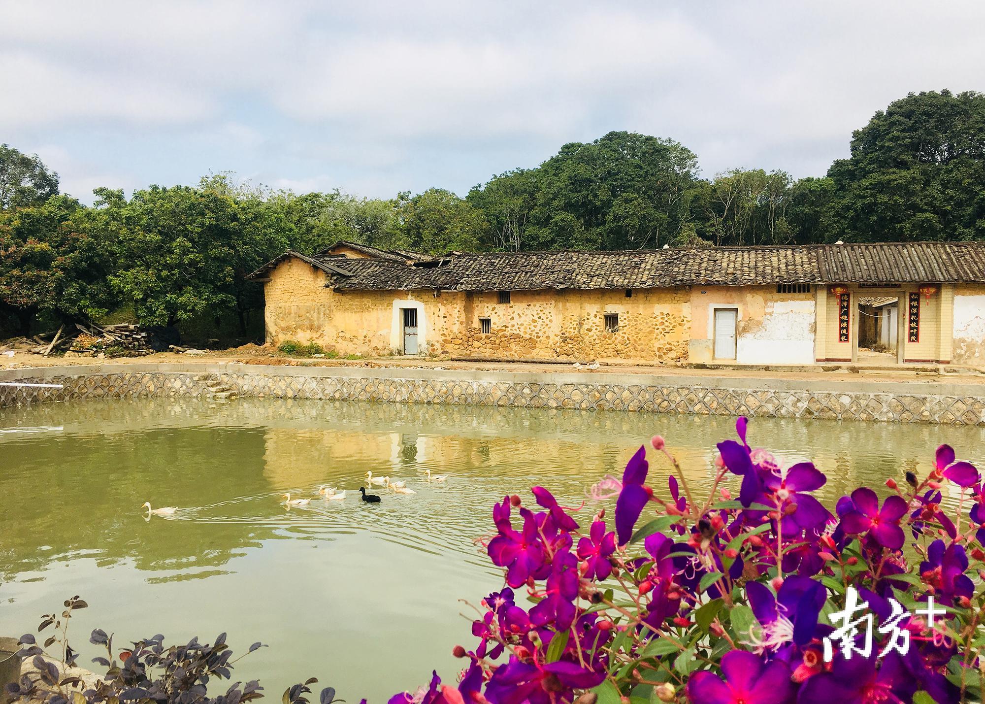 湖岭村充满古朴气息。 湖岭村充满古朴气息。