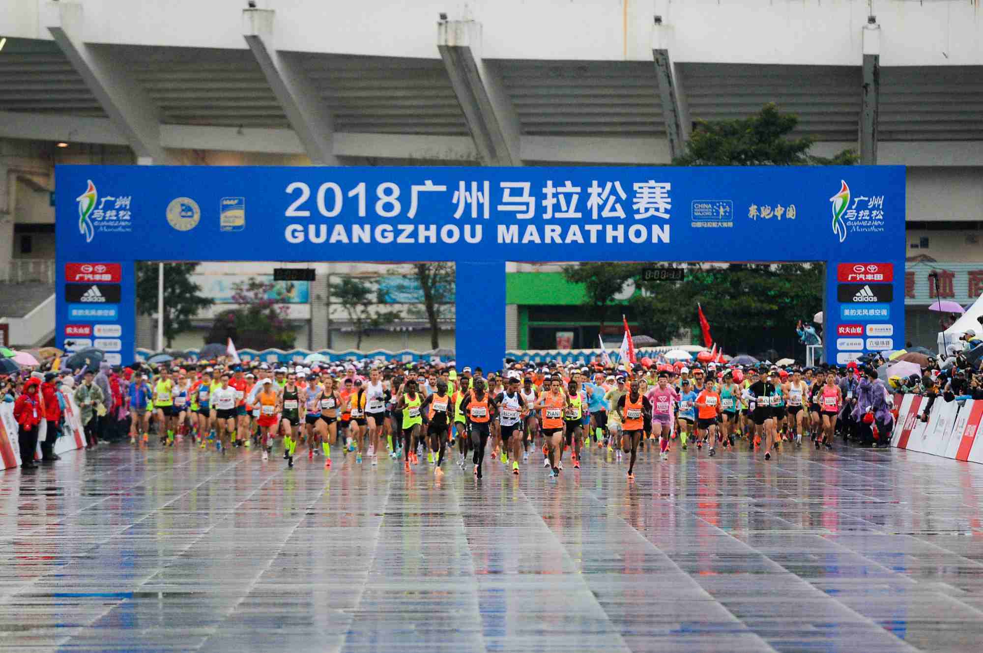 乌公布2024年战报atp拭子是什么近期的游泳比赛新闻事件汇总王者荣耀乒乓球比赛预测