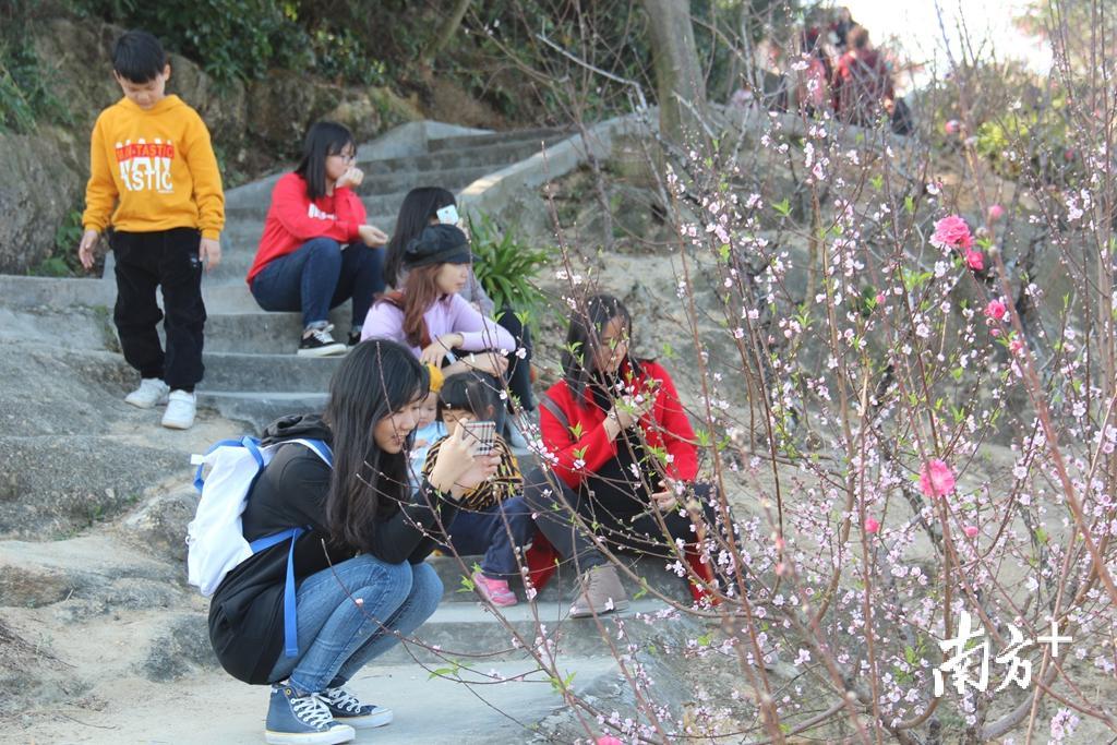 “探花”寻春，赏心悦目。胡少华 摄