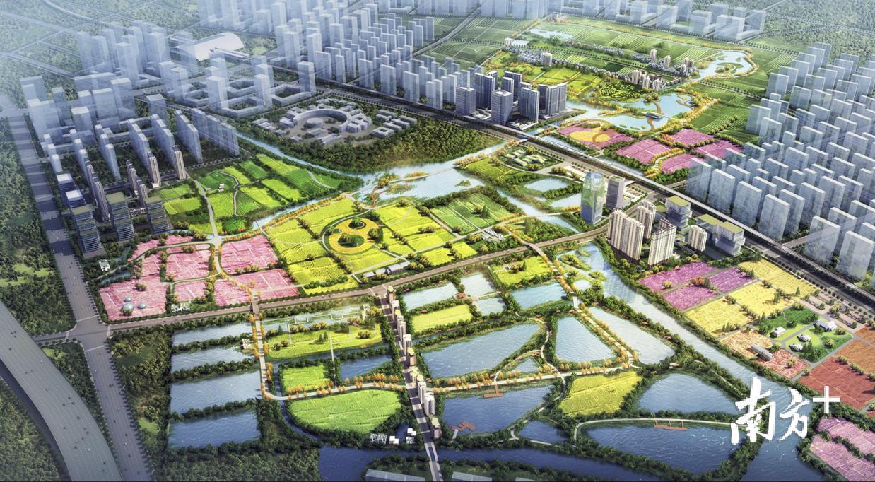 东莞滨海湾新区中央农业公园综合体项目效果图。