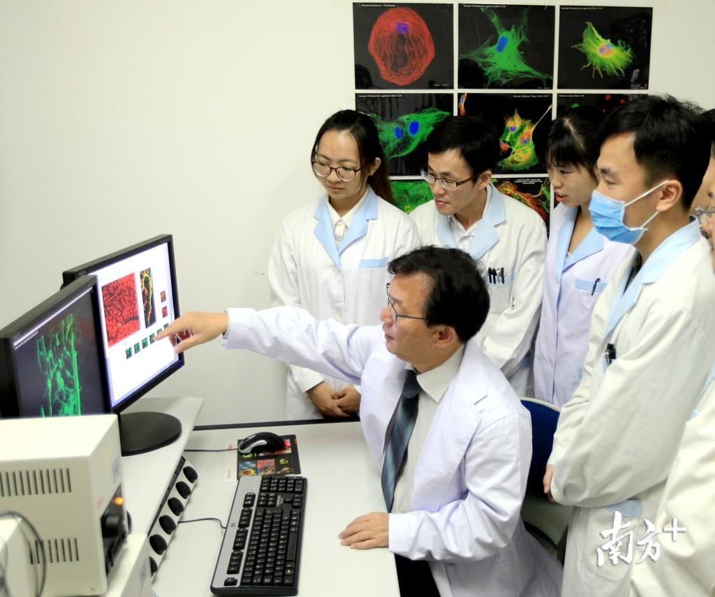 院长彭智培(中)指导汕头国际眼科中心的年轻医生开展科研工作。 院长彭智培(中)指导汕头国际眼科中心的年轻医生开展科研工作。