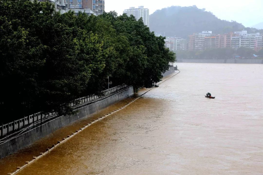 武江水平面上涨,西河沿岸亲水平台已经被河水淹没。韶关日报记者 刘嘉健 摄 武江水平面上涨,西河沿岸亲水平台已经被河水淹没。韶关日报记者 刘嘉健 摄