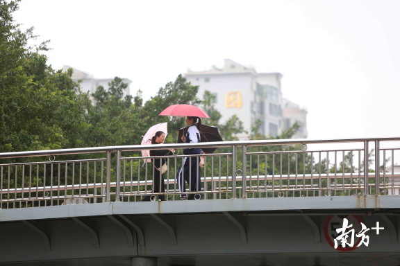 天桥上撑伞走过的市民。
