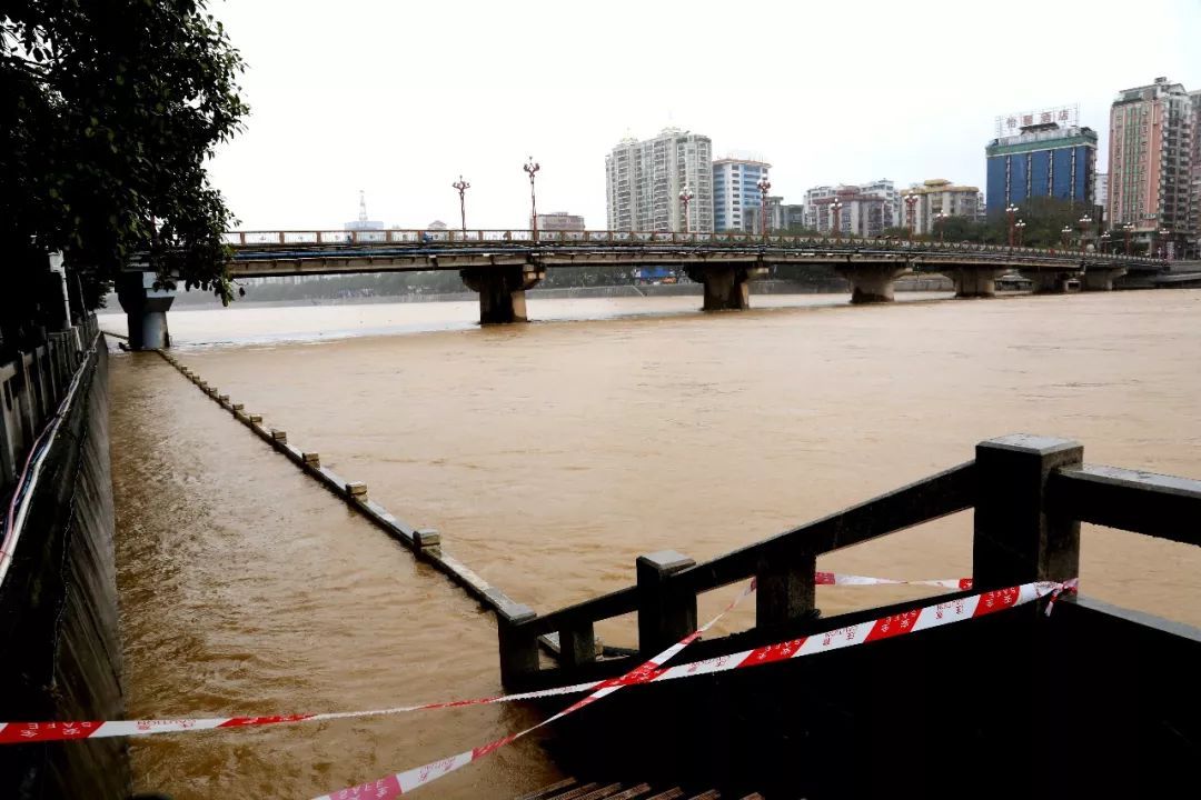 西河沿岸亲水平台已经被河水淹没。韶关日报记者 刘嘉健 摄 西河沿岸亲水平台已经被河水淹没。韶关日报记者 刘嘉健 摄