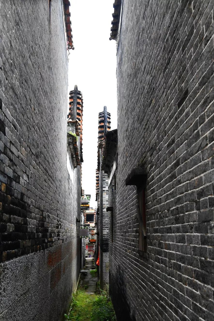 以楪树闻名，极具文化底蕴的古村落——新兴楪村_南方plus_南方+