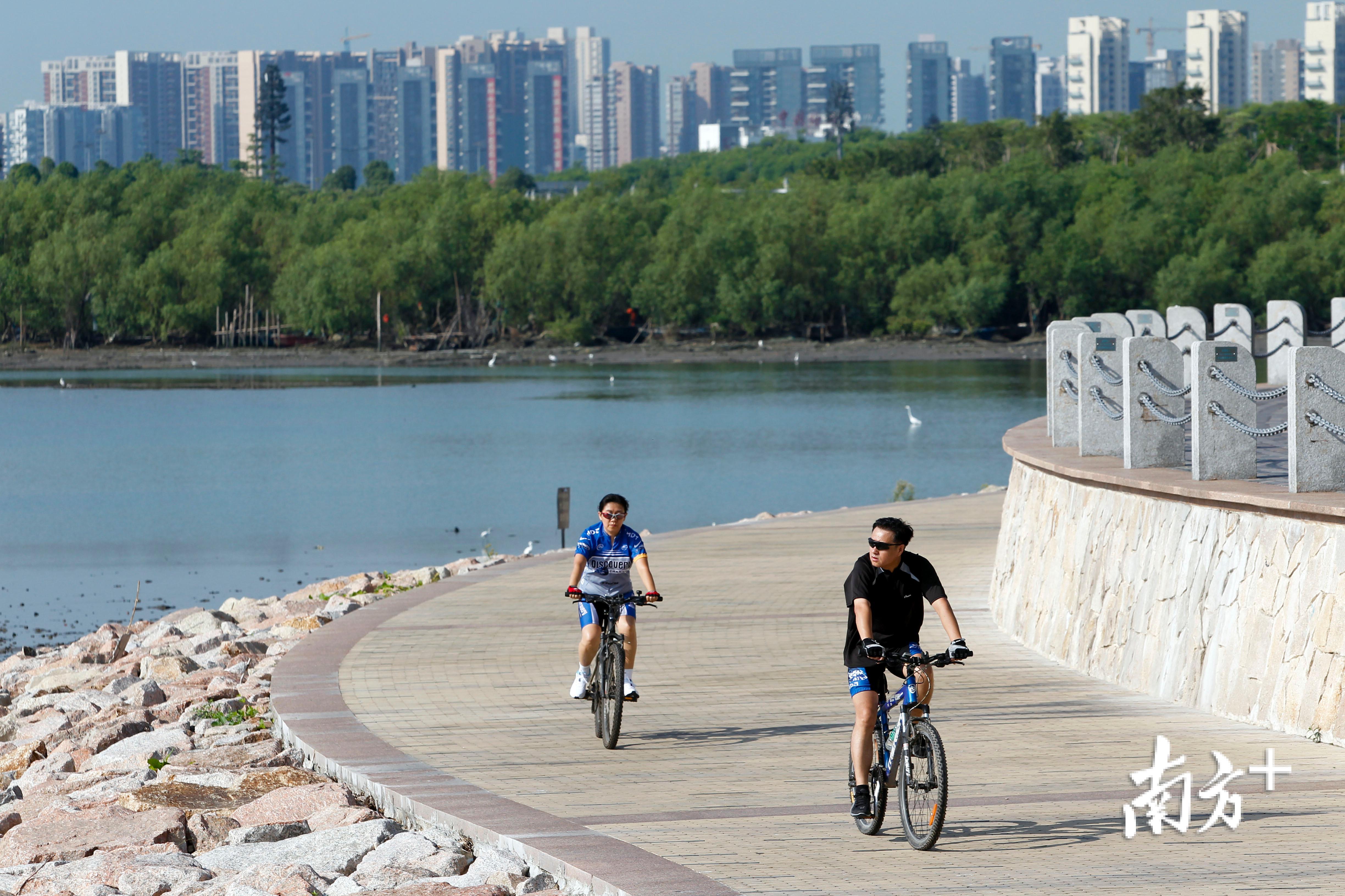 早晨在深圳湾绿道骑车的人。(周游 摄) 早晨在深圳湾绿道骑车的人。(周游 摄)