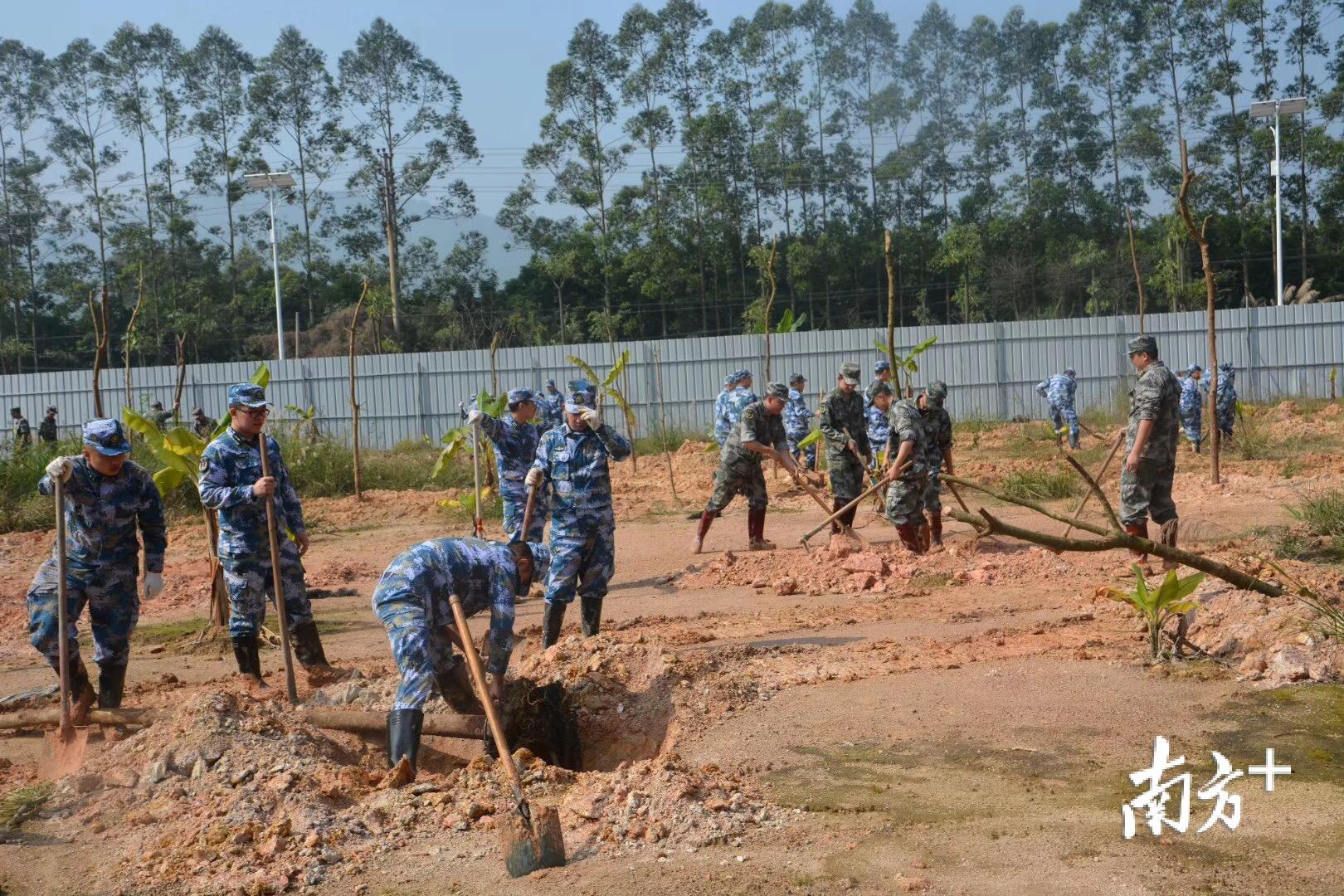 3月12日，饶平县人武部与驻军导航台官兵们到驻地钱东镇望海岭村参加植树活动。