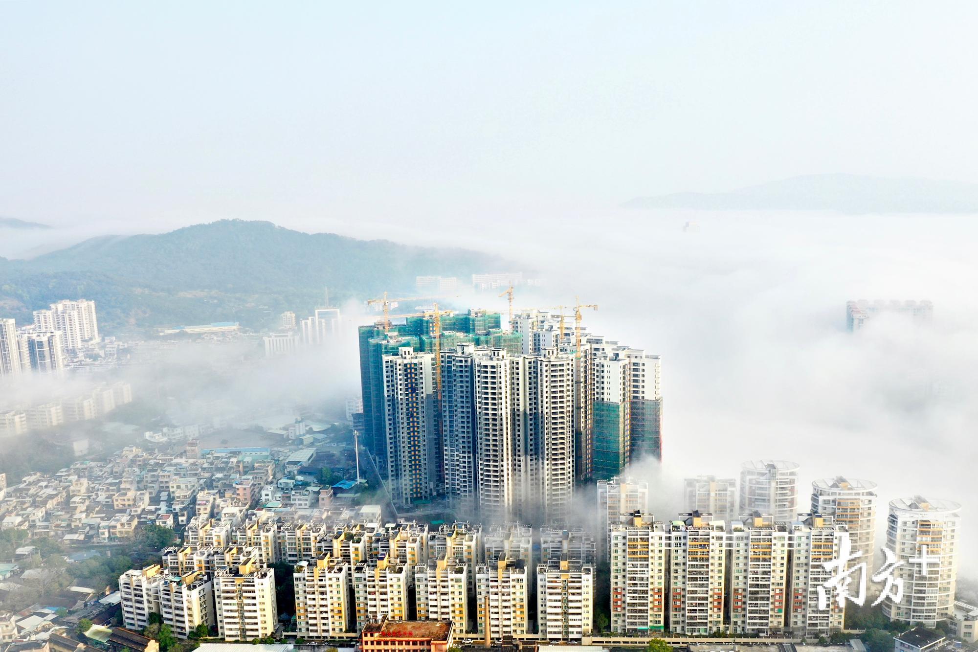 饶平县城黄冈镇出现罕见“平流雾”景观，宛如仙境。余秋松 摄
