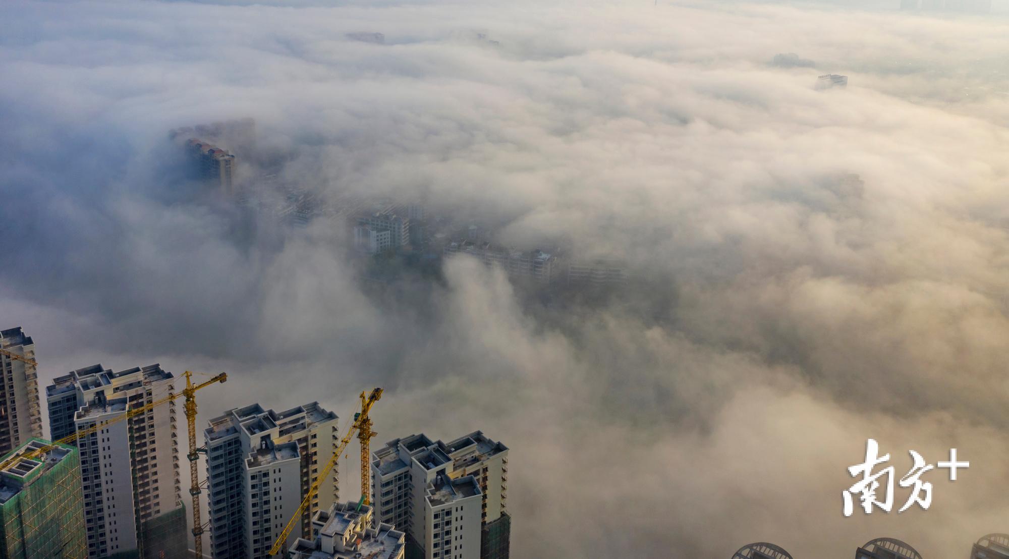 饶平县城黄冈镇出现罕见“平流雾”景观，宛如仙境。余永东 摄