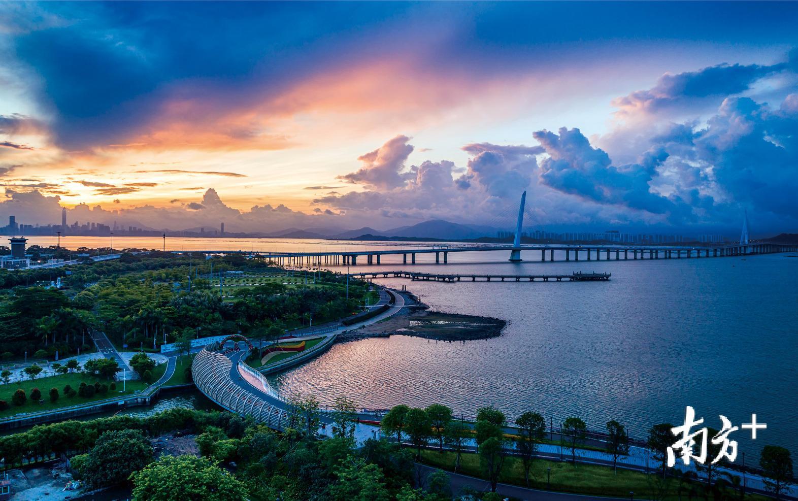 深圳湾滨海长廊是一条长达16.2公里的滨海栈道，从福田红树林到蛇口海上世界，令市民可以畅快地与大海亲密接触。（鲁力 摄）