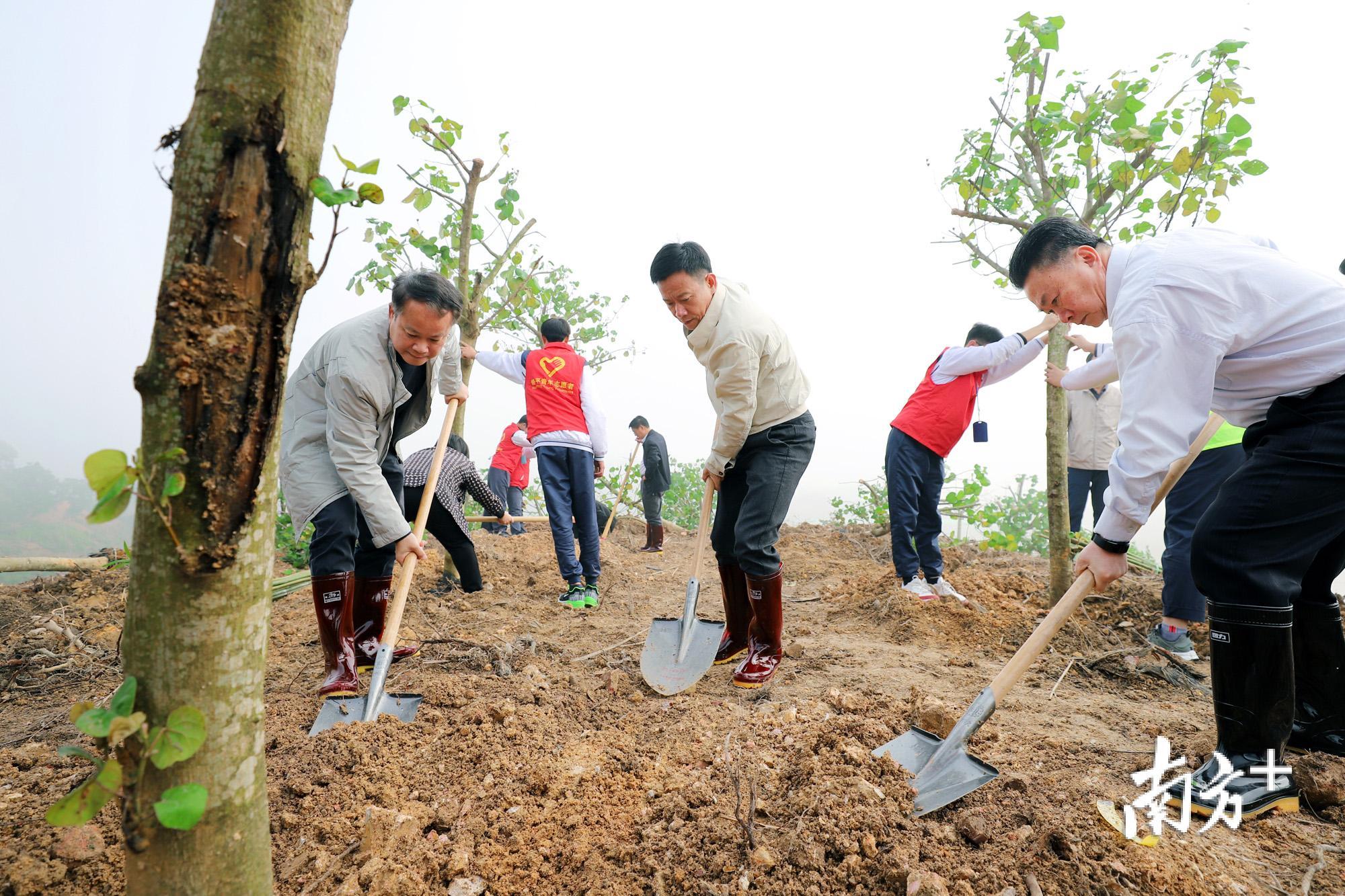 3月12日上午,潮州市饶平县四套班子领导带领机关干部、学生等150多人开展植树活动。 3月12日上午,潮州市饶平县四套班子领导带领机关干部、学生等150多人开展植树活动。