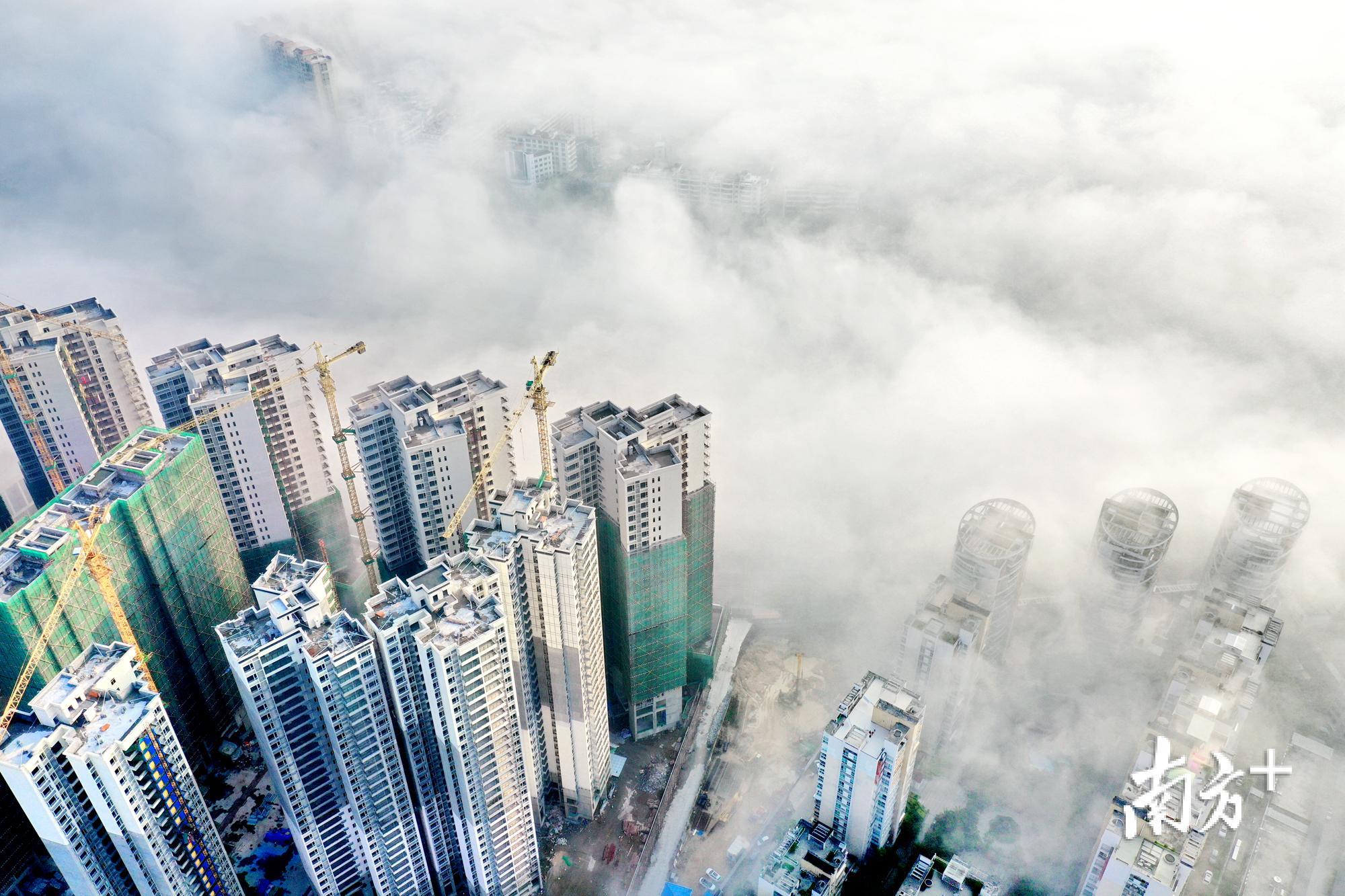 饶平县城黄冈镇出现罕见“平流雾”景观，宛如仙境。余秋松 摄