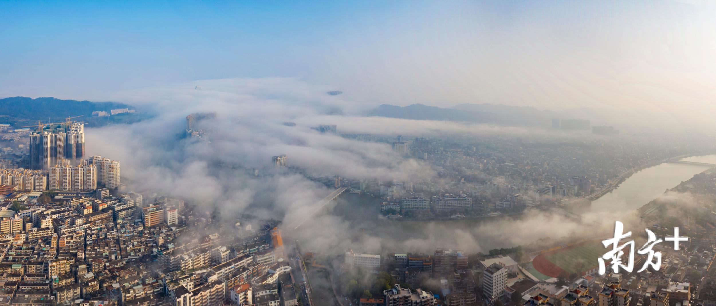 饶平县城黄冈镇出现罕见“平流雾”景观，宛如仙境。余永东 摄