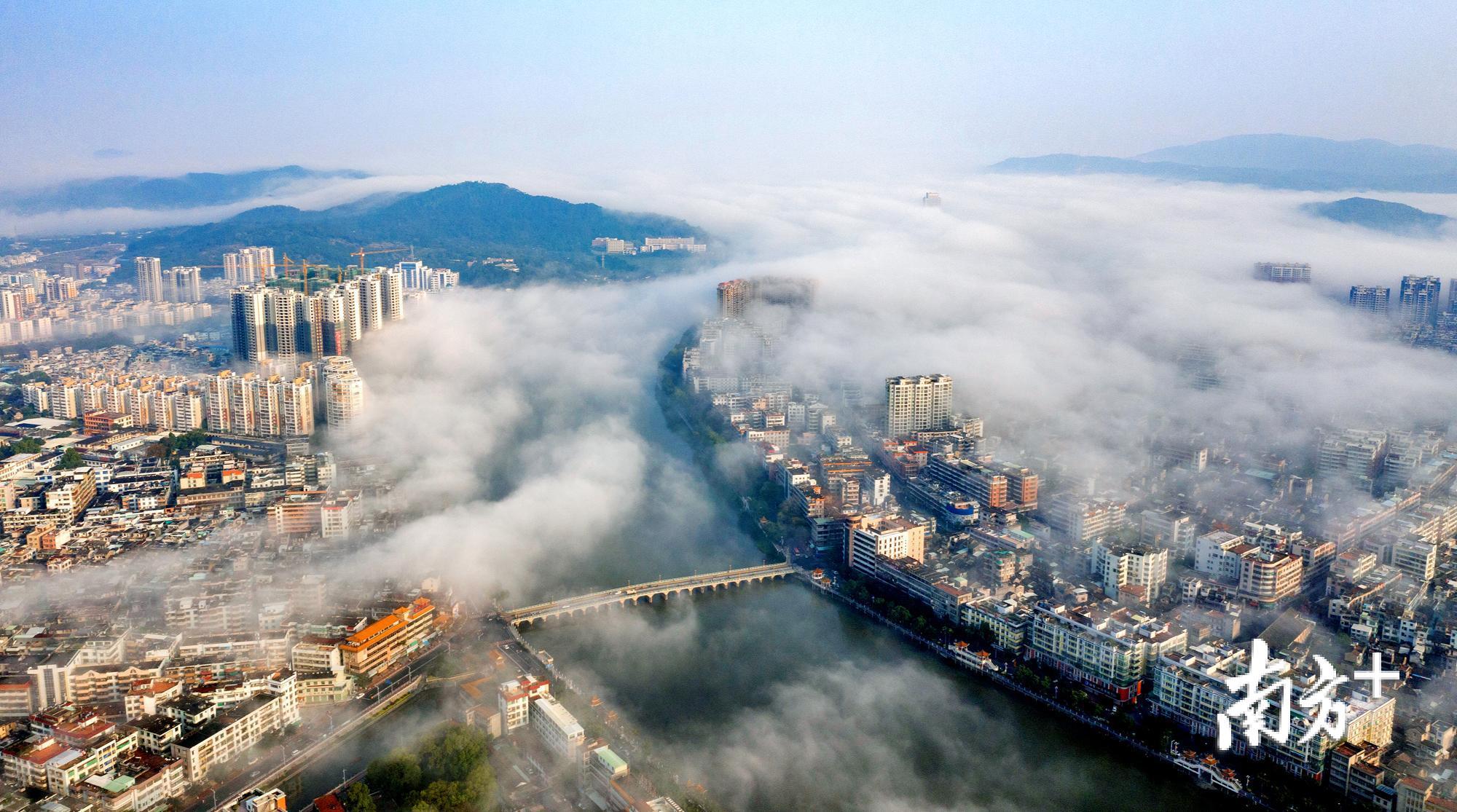 饶平县城黄冈镇出现罕见“平流雾”景观，宛如仙境。余永东 摄