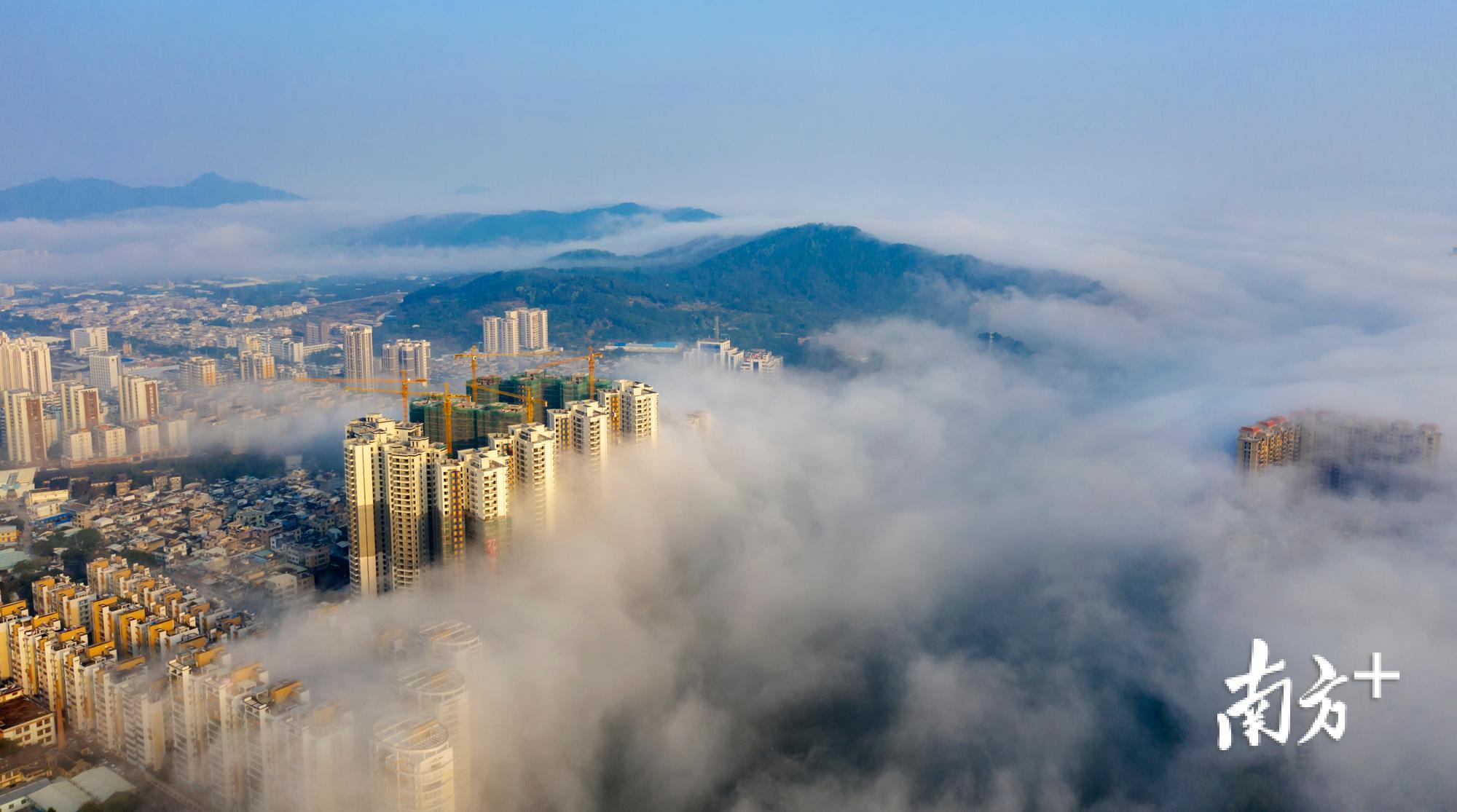 饶平县城黄冈镇出现罕见“平流雾”景观，宛如仙境。余永东 摄