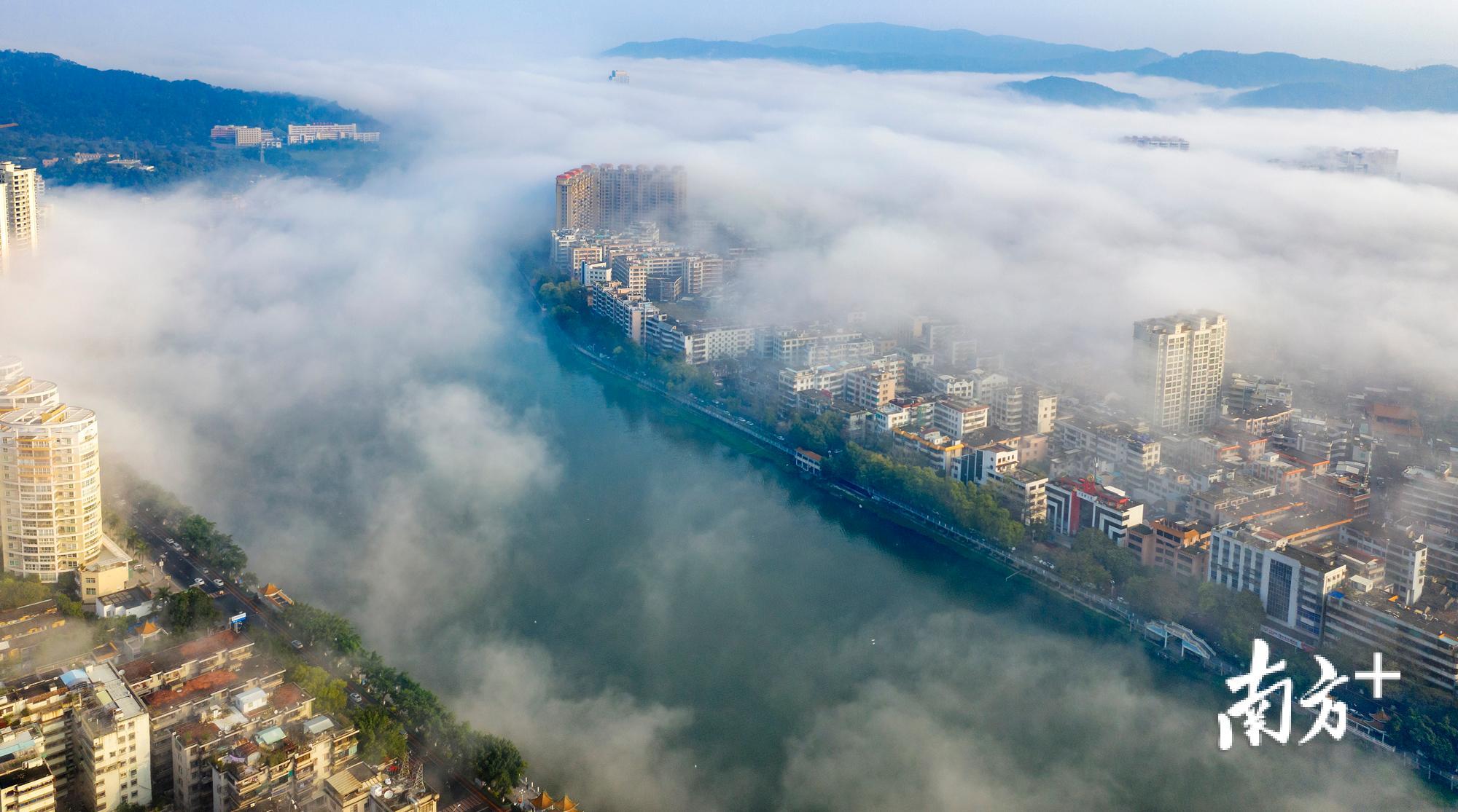 饶平县城黄冈镇出现罕见“平流雾”景观，宛如仙境。余永东 摄