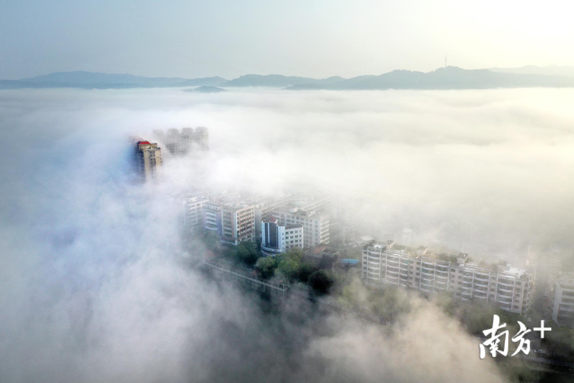 饶平县城黄冈镇出现罕见“平流雾”景观，宛如仙境。余秋松 摄