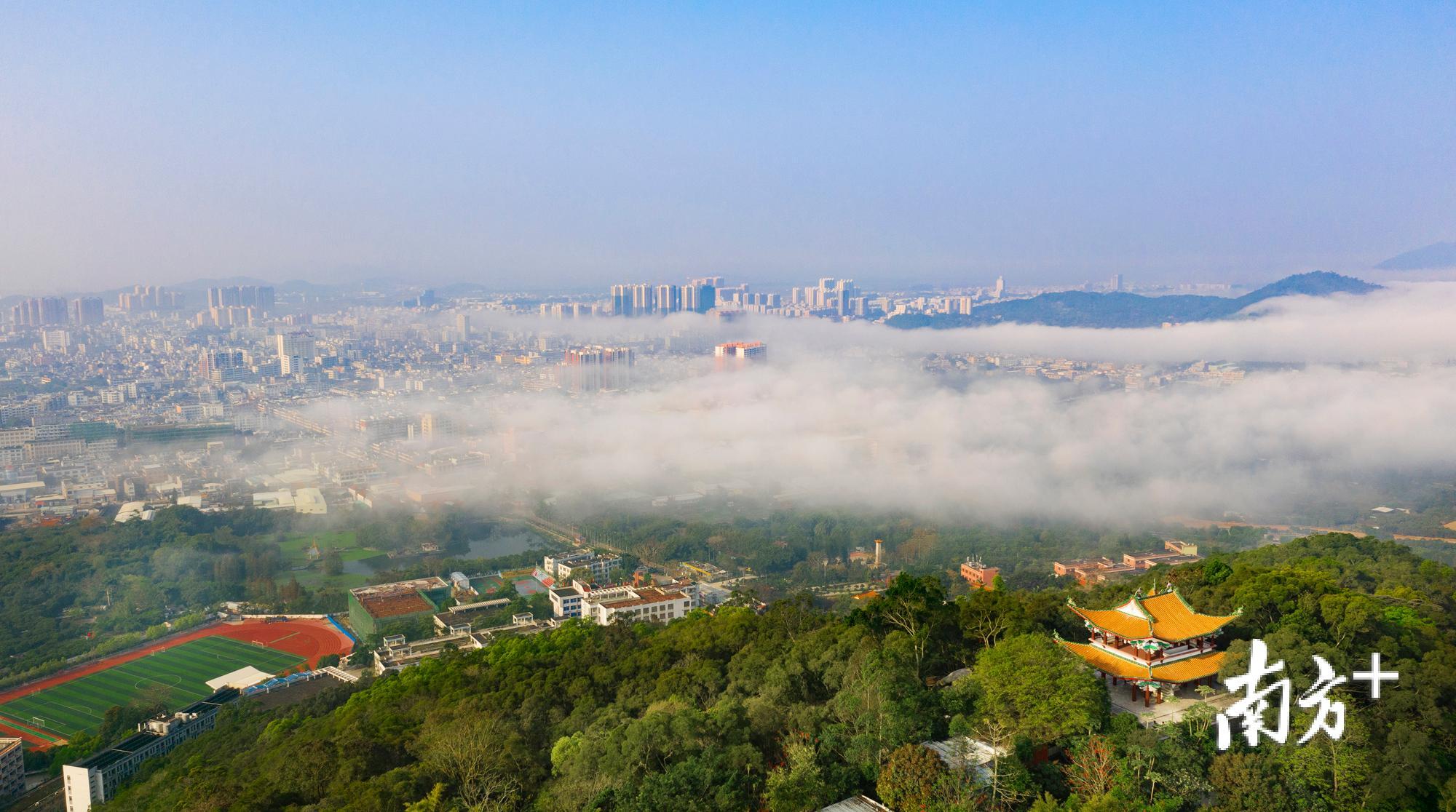 饶平县城黄冈镇出现罕见“平流雾”景观，宛如仙境。余永东 摄