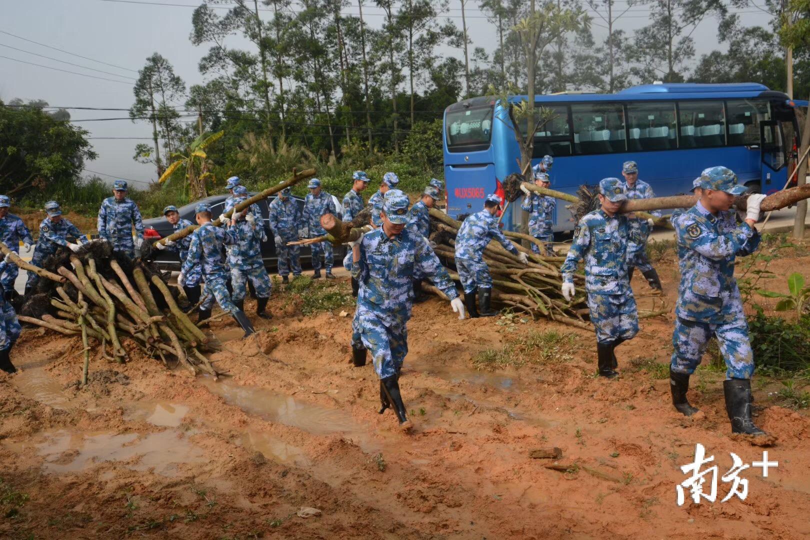 3月12日，饶平县人武部与驻军导航台官兵们到驻地钱东镇望海岭村参加植树活动。