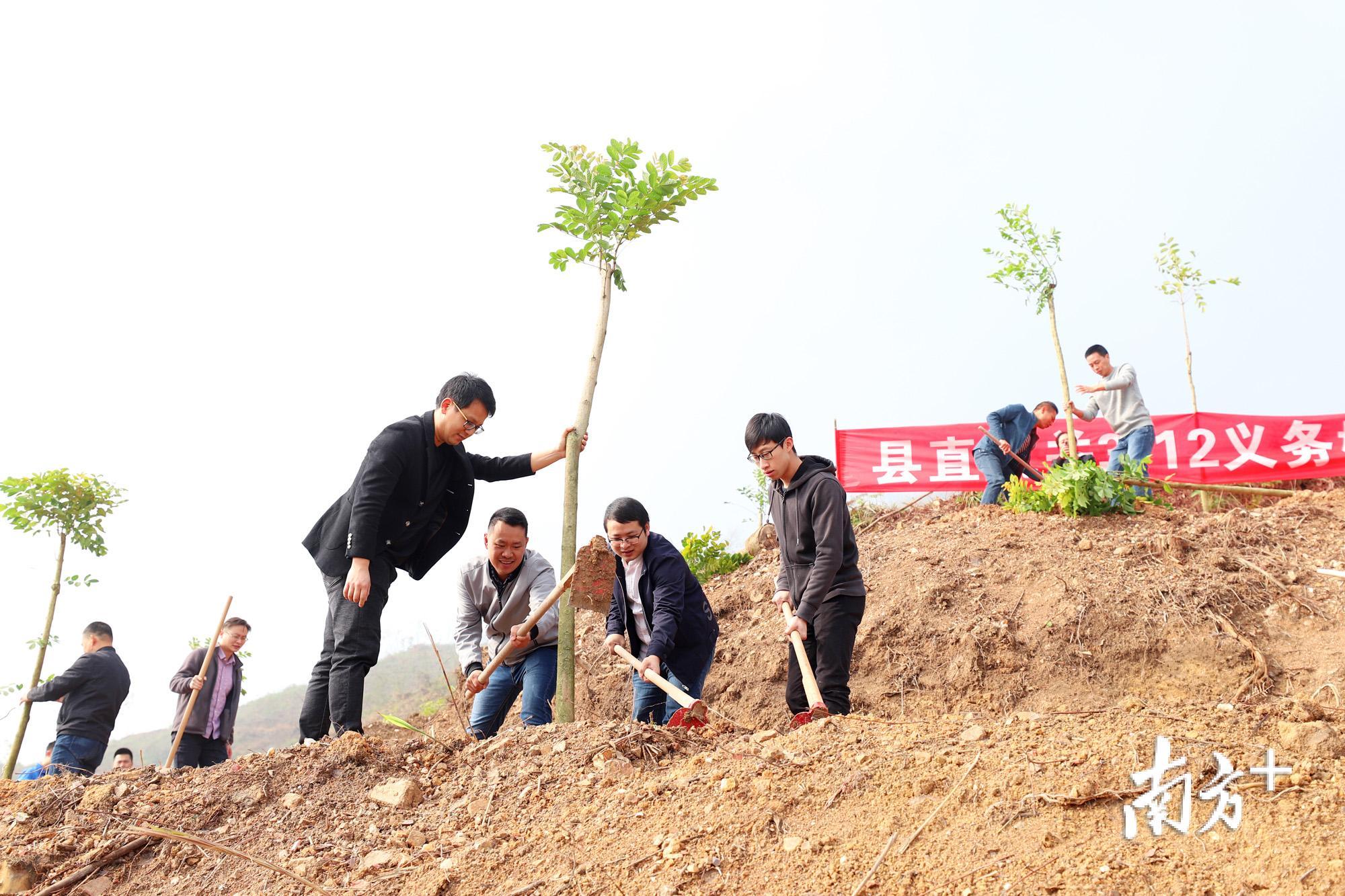 3月12日上午,潮州市饶平县四套班子领导带领机关干部、学生等150多人开展植树活动。 3月12日上午,潮州市饶平县四套班子领导带领机关干部、学生等150多人开展植树活动。