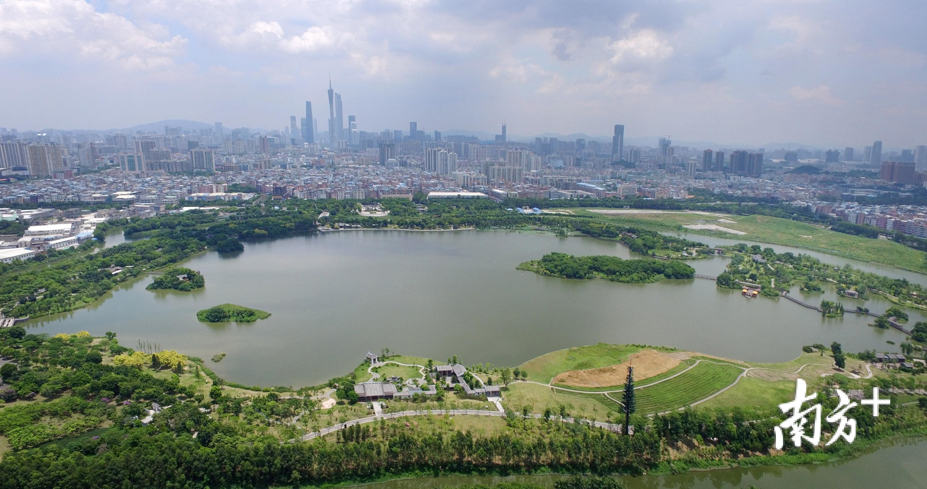 广州珠江公园快绿湖图片