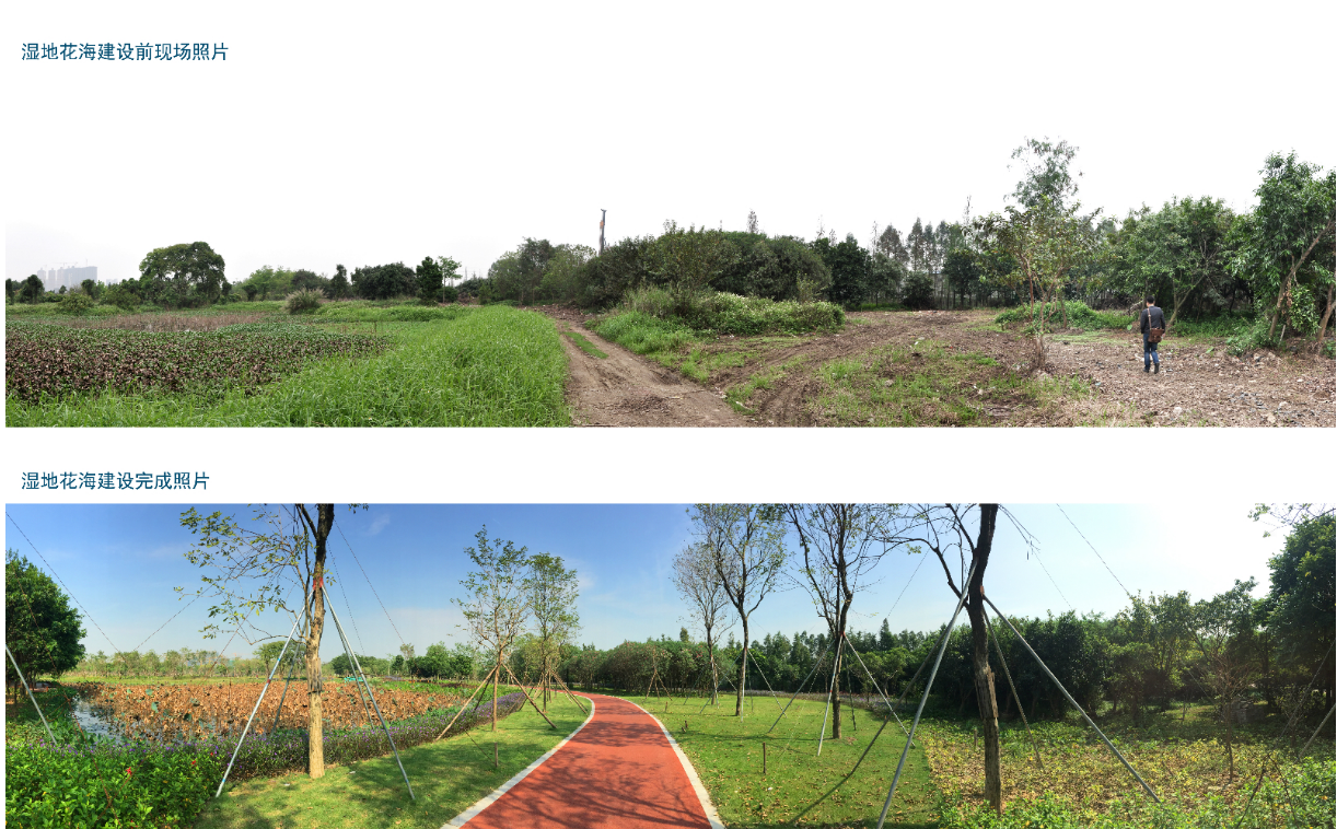 顺德华侨城供图