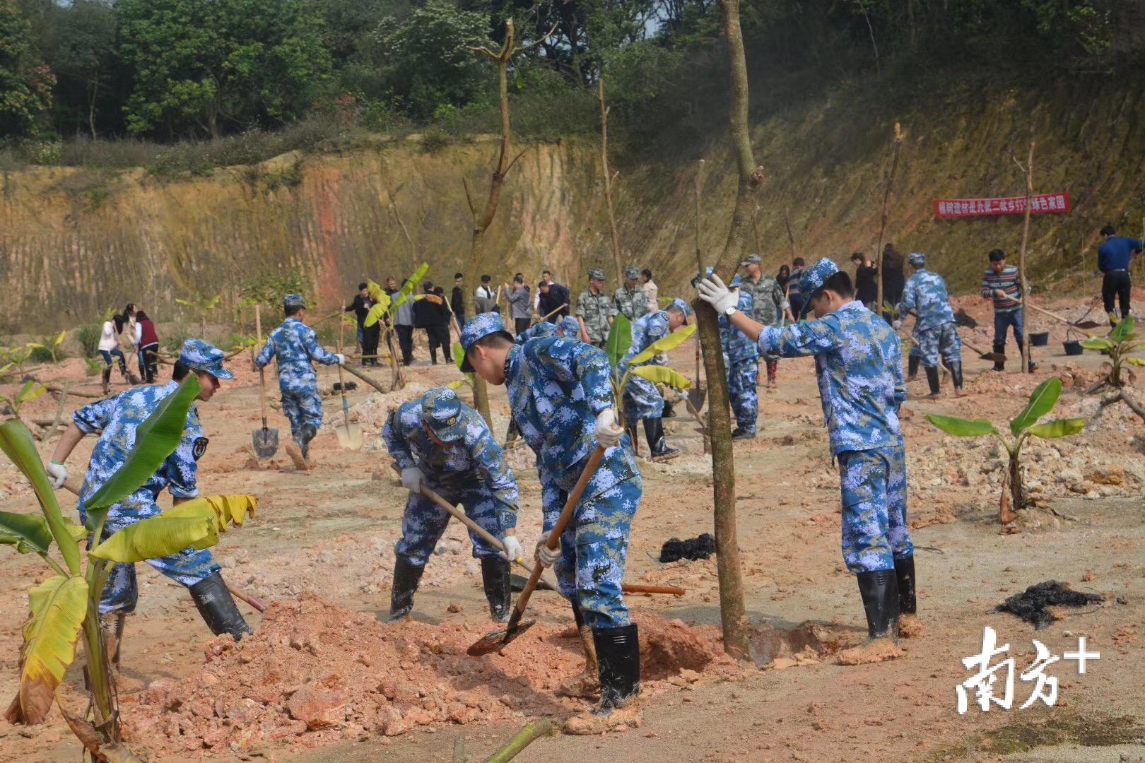 3月12日，饶平县人武部与驻军导航台官兵们到驻地钱东镇望海岭村参加植树活动。