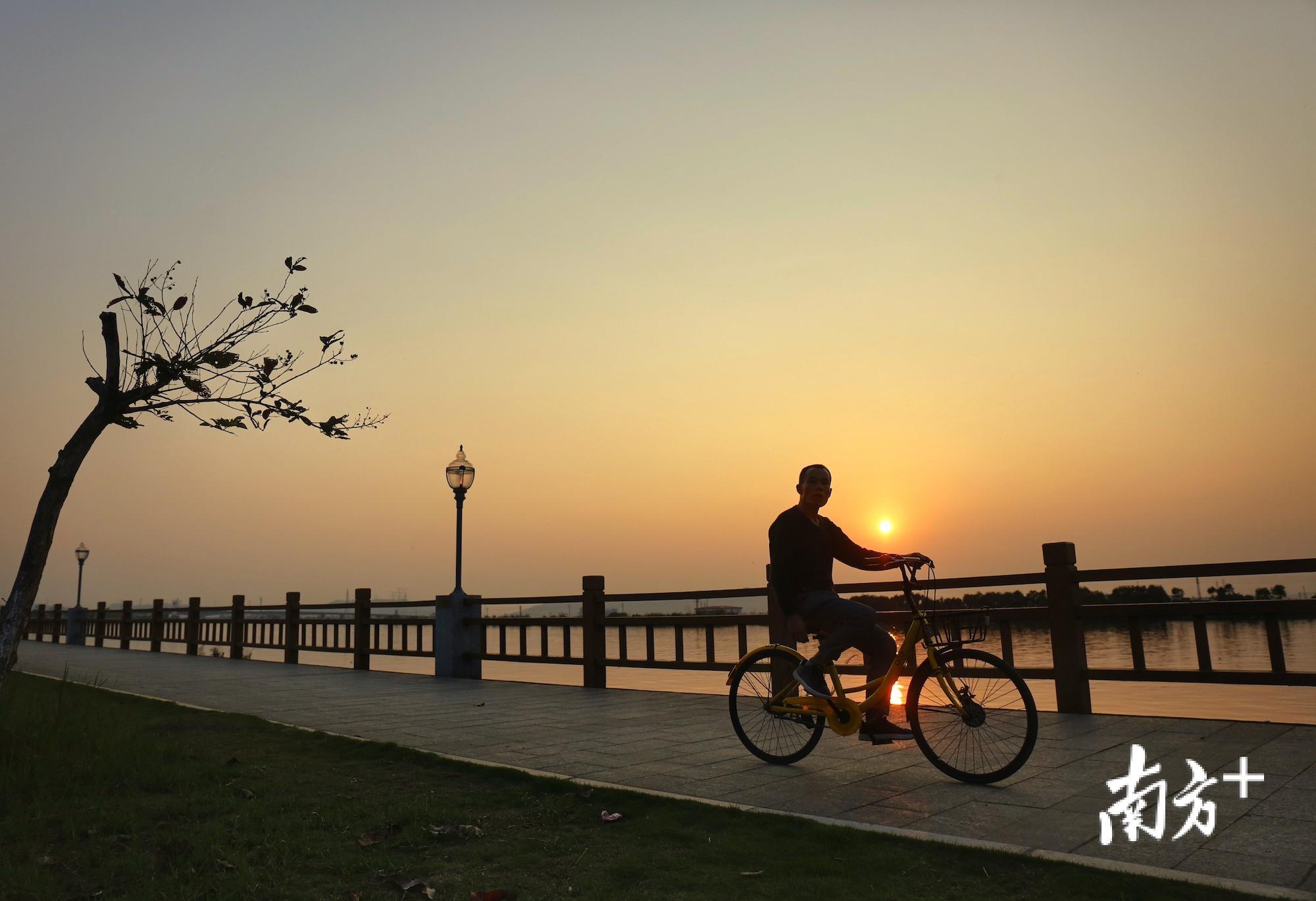 板芙镇有一条约5公里的滨江路沿岐江河而建，沿路有有体育文化公园、滨江湿地公园等景点，沿途可以看见渔舟唱晚、临江垂钓水上森林、落日余晖等景色，被网友称为“中山的情侣路”。（叶志文 摄）