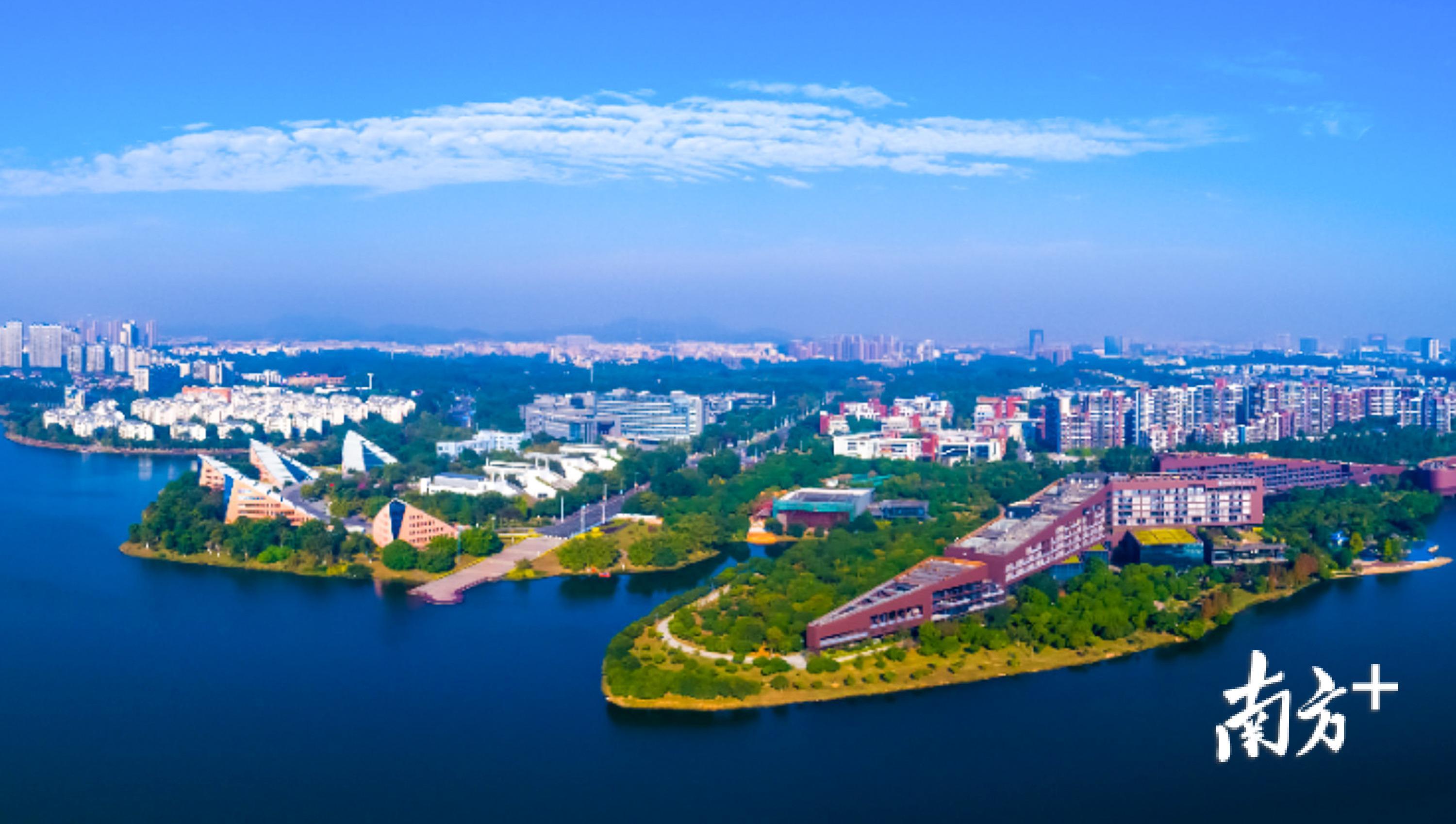 解码湾区都市品质东莞⑥积极探索构建高质量发展体制机制