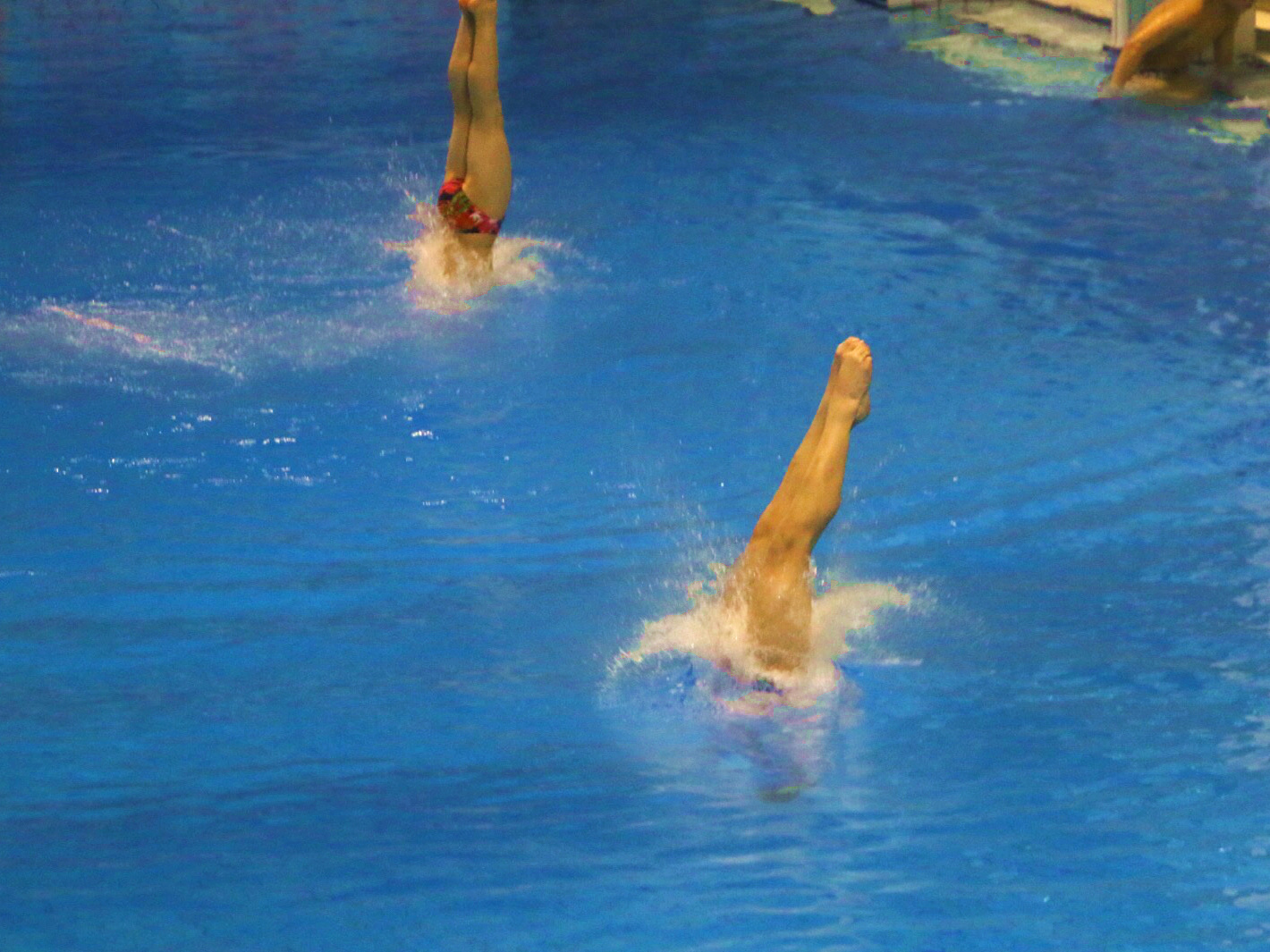 跳水运动员 曝光图片