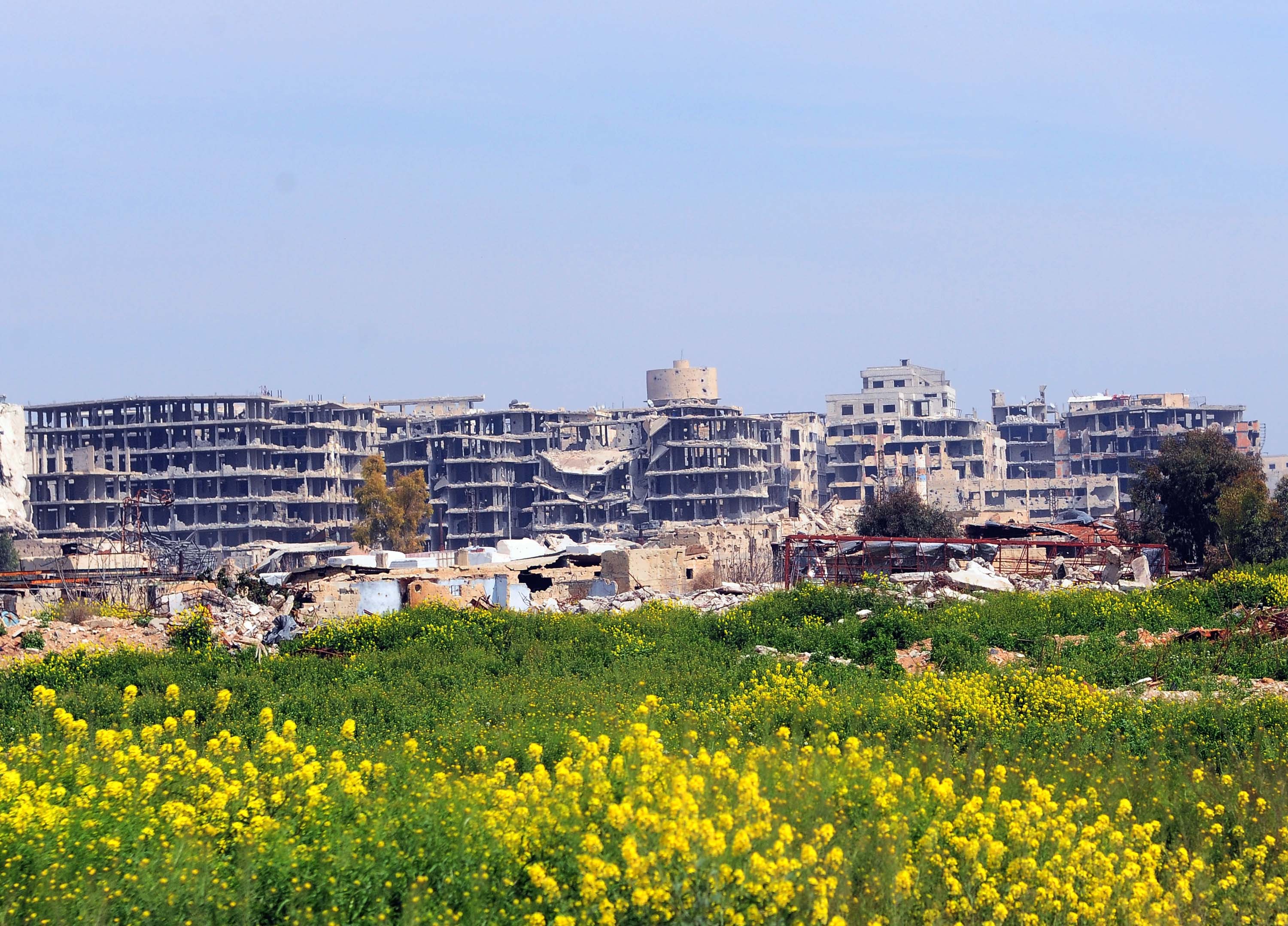 2019年3月12日在叙利亚大马士革东古塔地区拍摄的春花和建筑废墟。新华社发