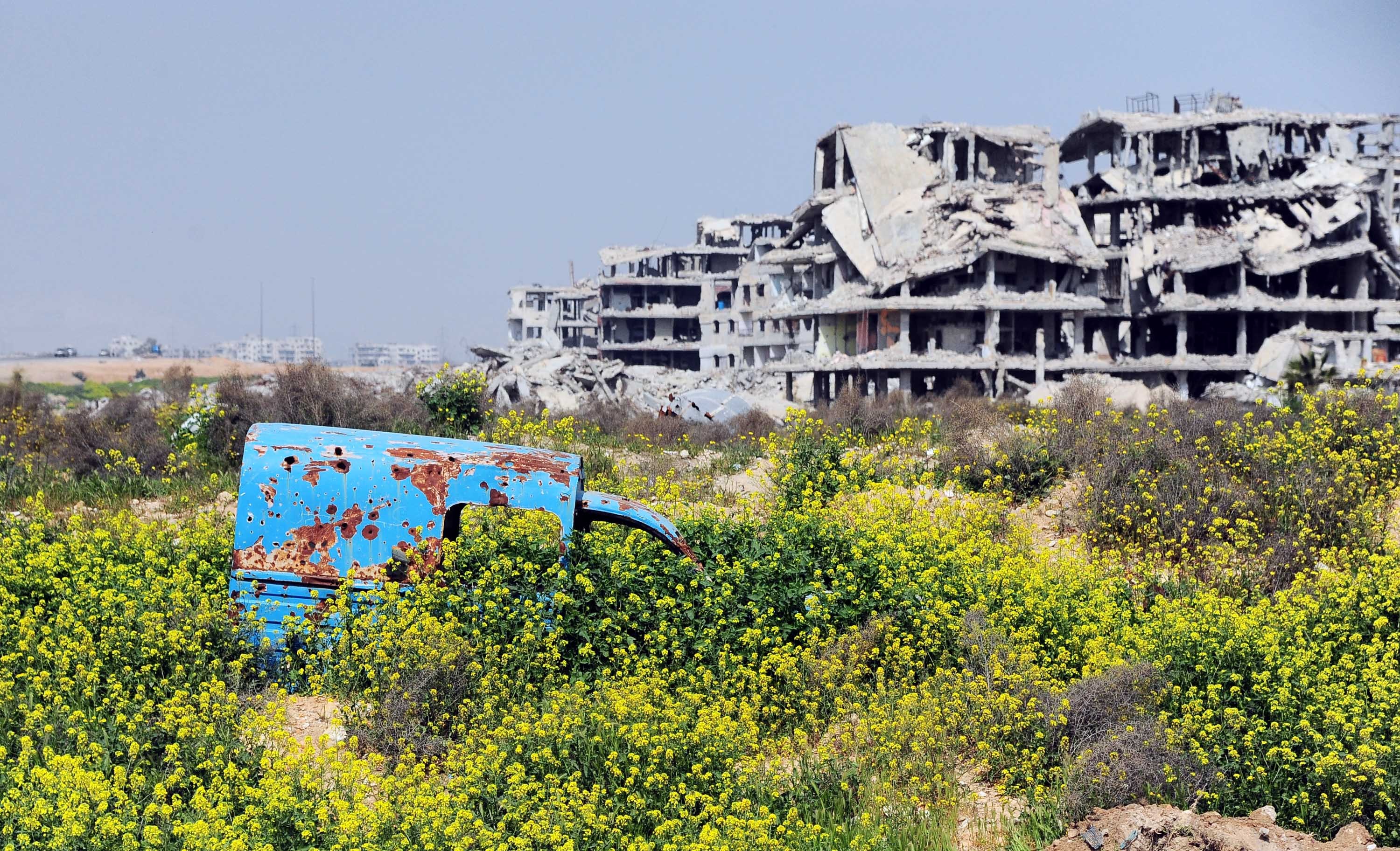 叙利亚大马士革东古塔地区拍摄的春花和建筑废墟。新华社发