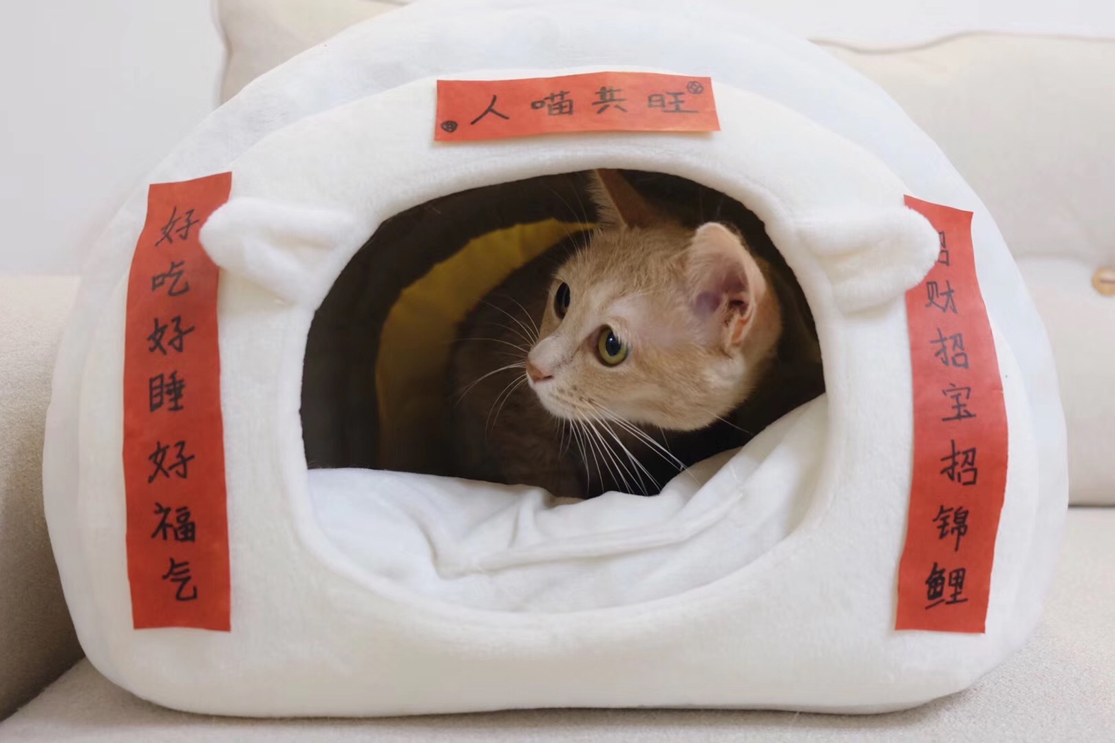 人喵共旺。邢胖胖摄