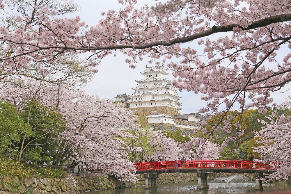 姬路城入选日本赏樱胜地100名。