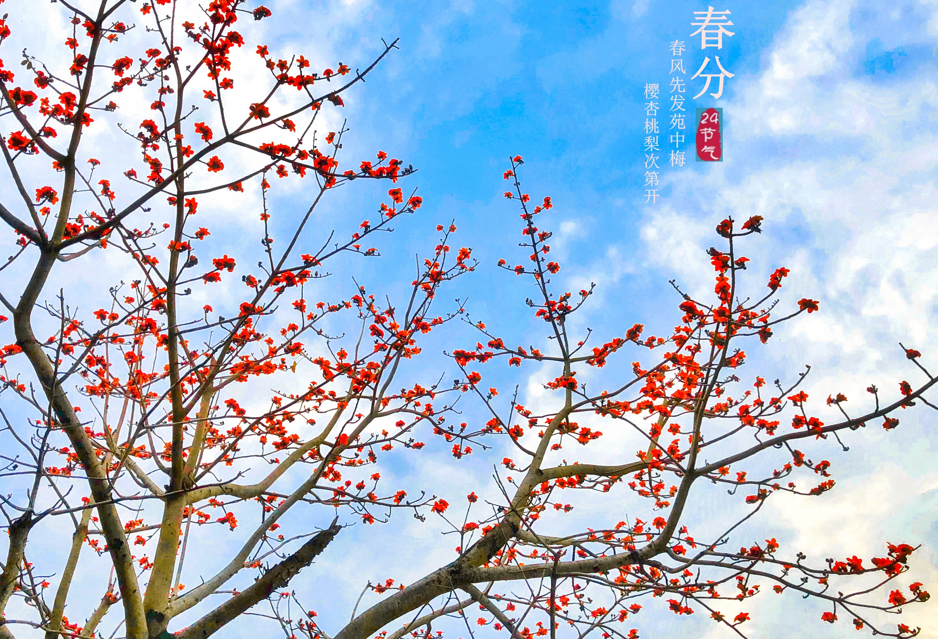 7点52分,摄于汕尾凤山妈祖广场旁。孙实 摄 7点52分,摄于汕尾凤山妈祖广场旁。孙实 摄