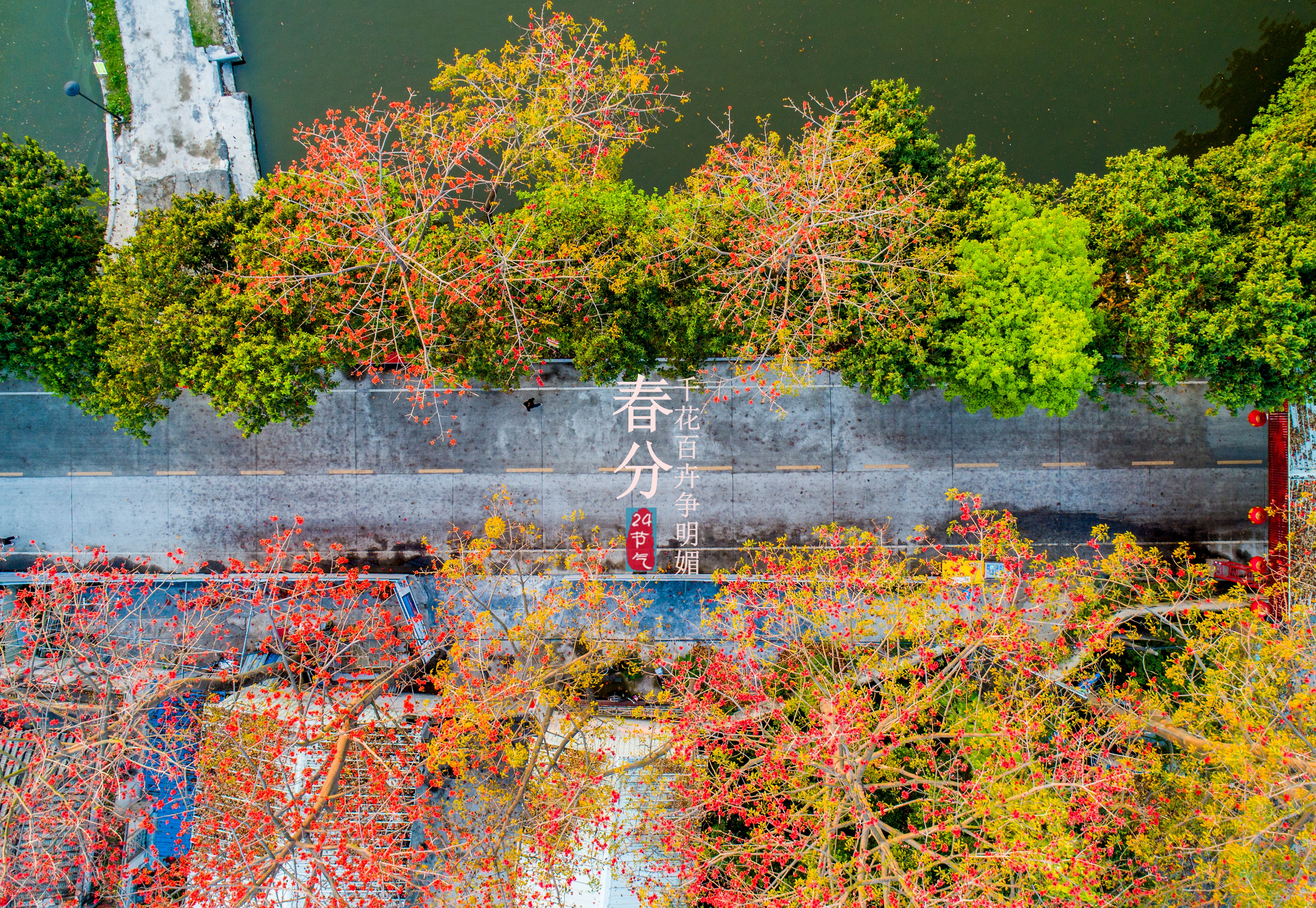 7点45分，摄于揭阳榕江西湖。郑楚藩 摄