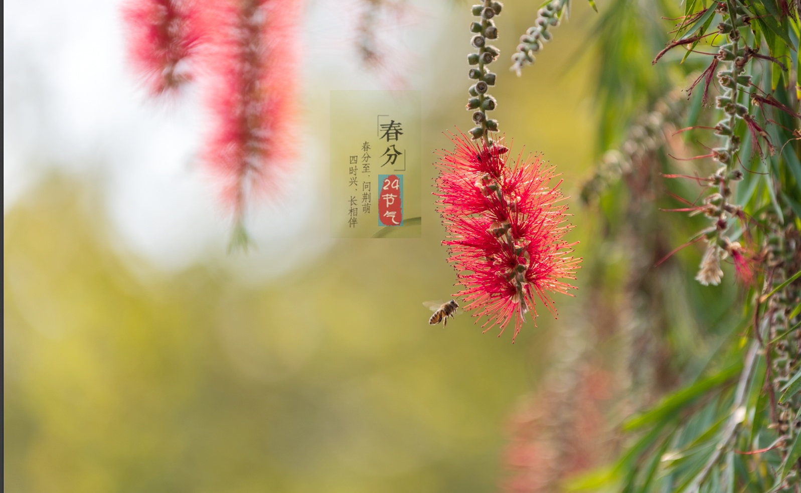 7点23分，摄于潮州西湖。陈锡荣 摄