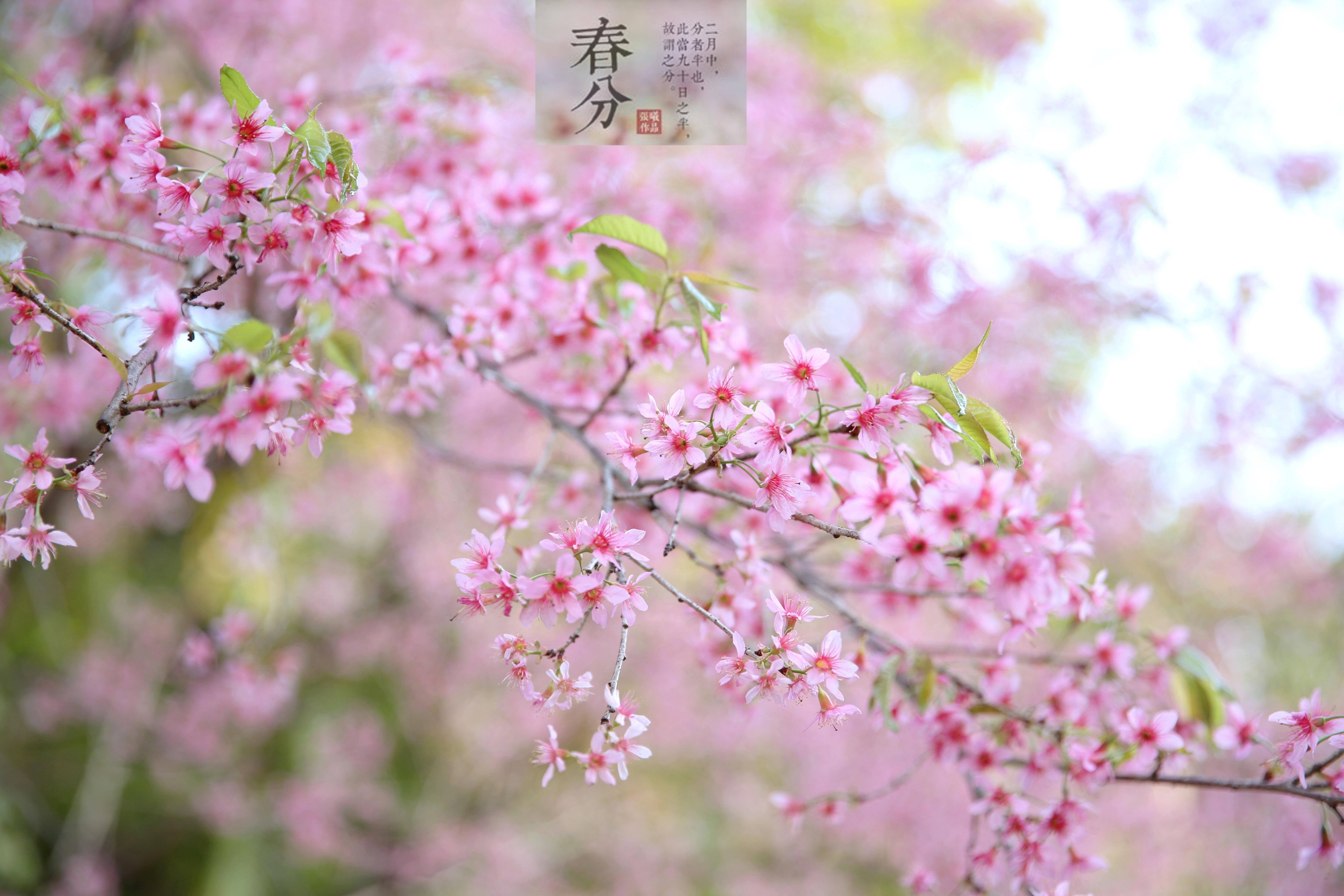 7点27分，摄于梅州嘉应学院。南方日报记者 黄培强 摄