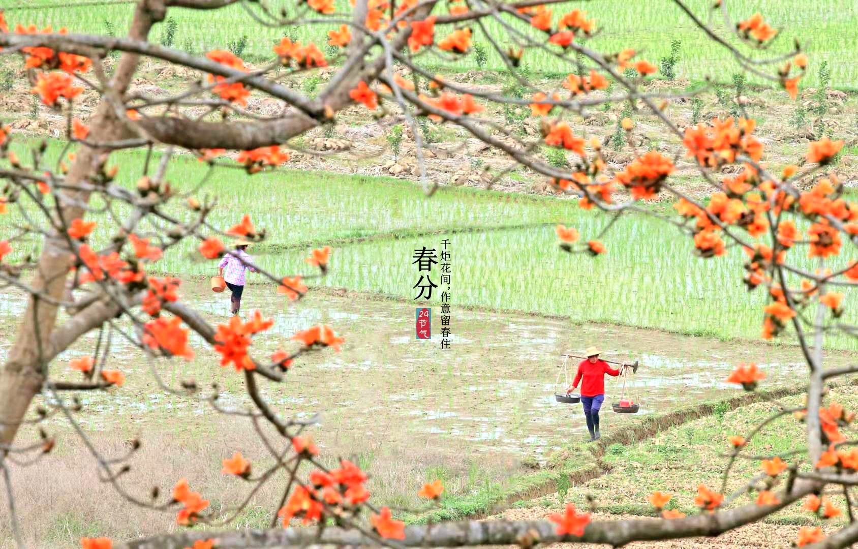 8点36分,摄于云浮市郁南县平台镇石台村。聂的 摄 8点36分,摄于云浮市郁南县平台镇石台村。聂的 摄