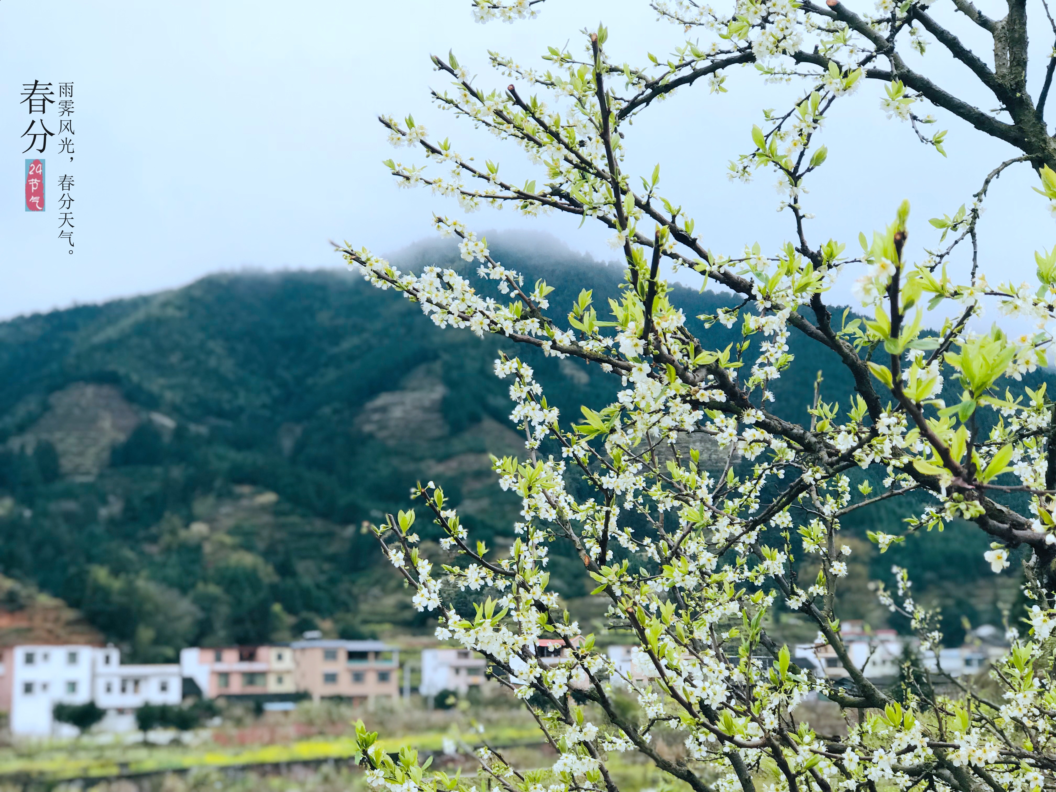 8点15分，摄于韶关乐昌九峰镇。南方日报记者 潘俊宇 摄