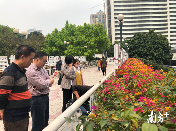 三水区城管部门组织开展城市绿化调研。通讯员图