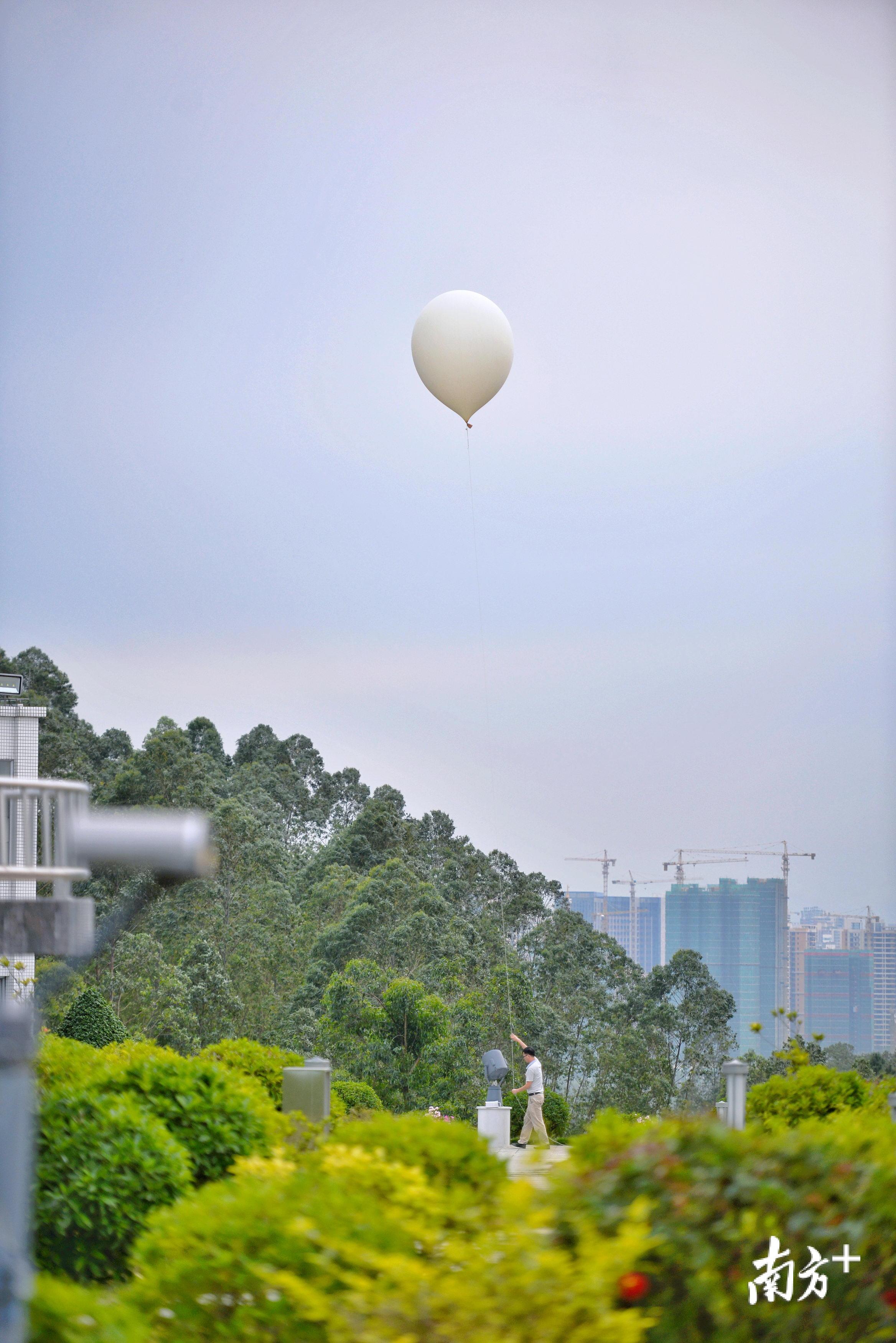 清远市气象台每天都会放探空气球上天，这只白色的氢气球将带着探空仪器飞到高空，对温度、大气压力、湿度、风速风向等气象要素进行测量。曾亮超 摄