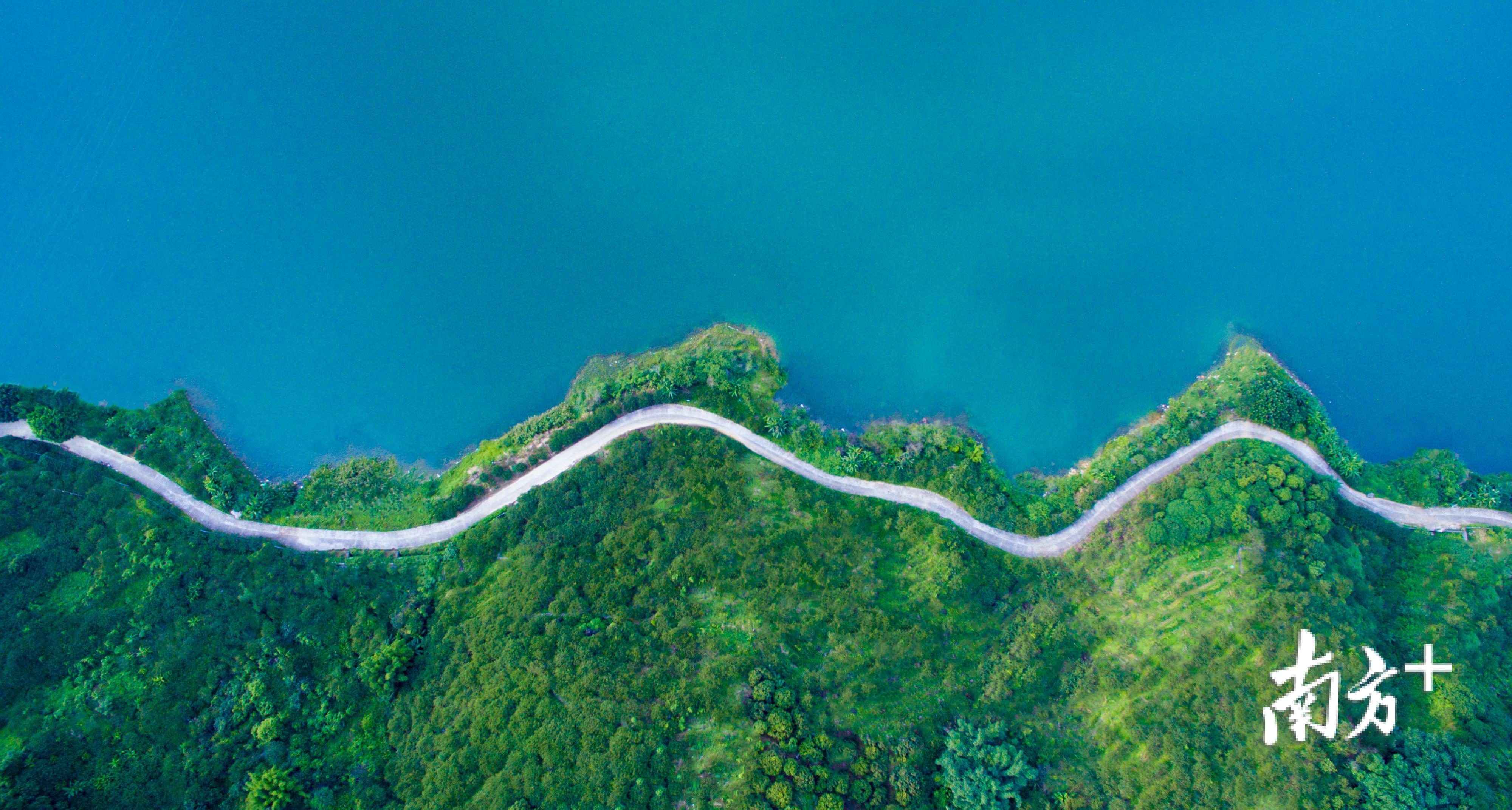 广州流溪河水库绿道,环湖而建,绿树成荫,是市民游客休闲娱乐的好去处.