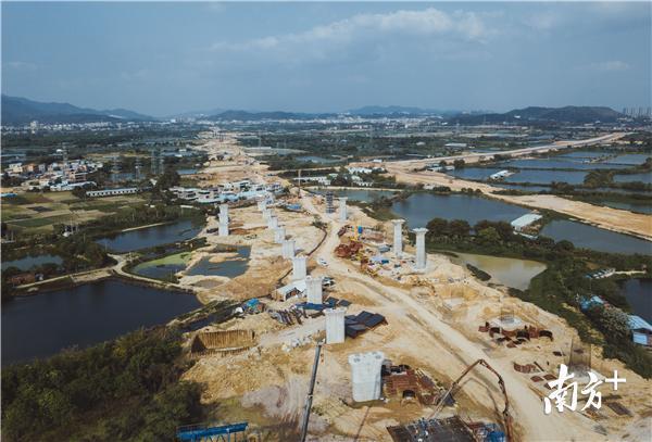 在惠城區小金口街道白石村附近的白石渠特大橋工程現場,一排橋墩已經