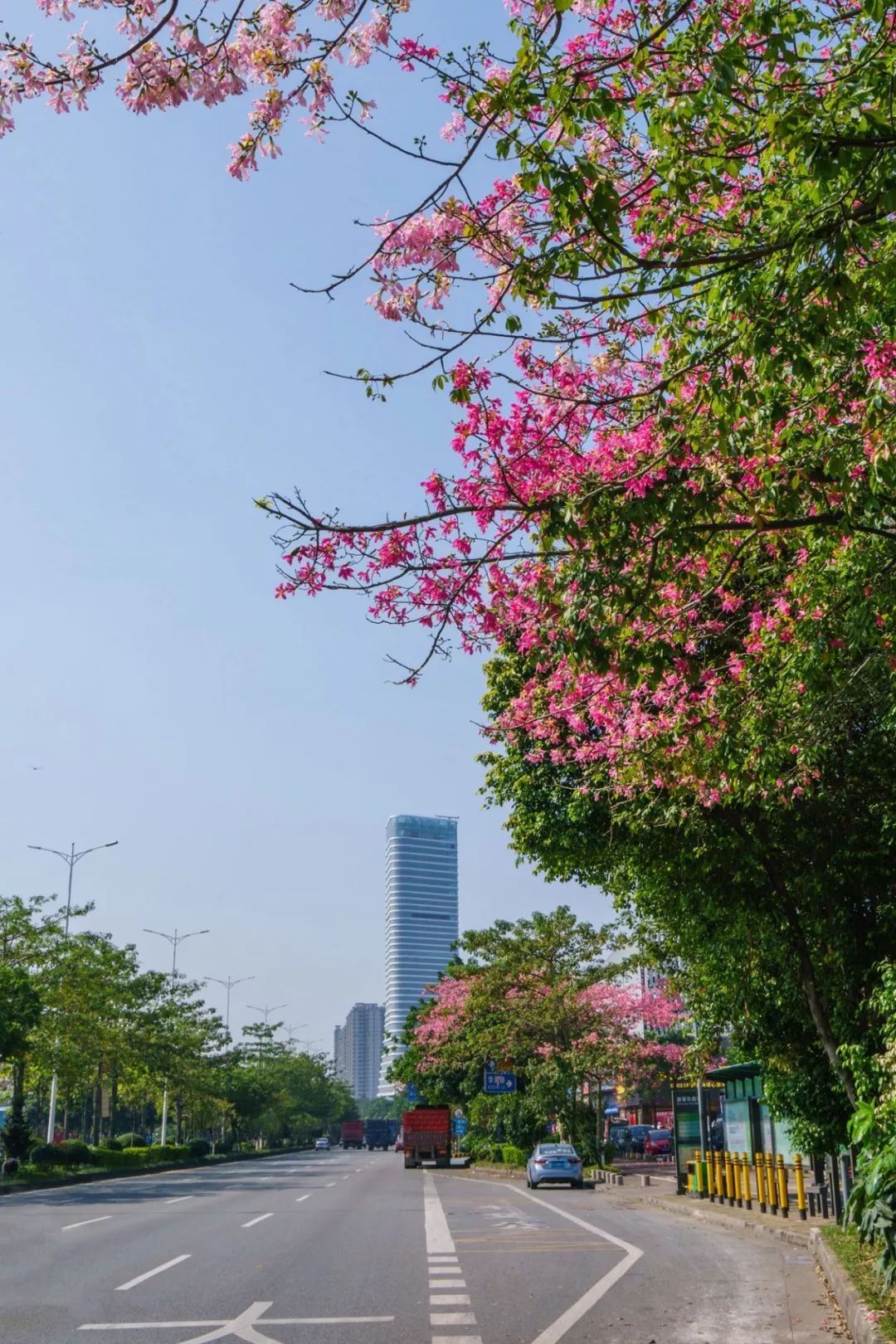 如今的广佛新干线 如今的广佛新干线