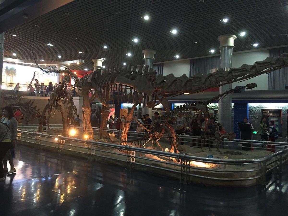 北京自然博物馆曾推出十几次夜场活动