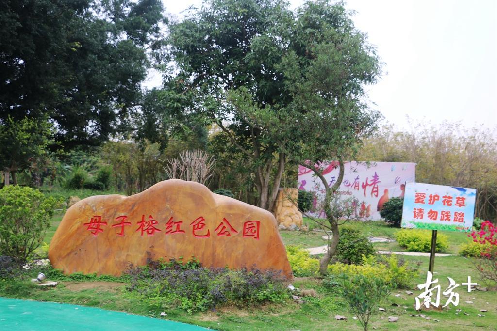 母子榕红色公园。