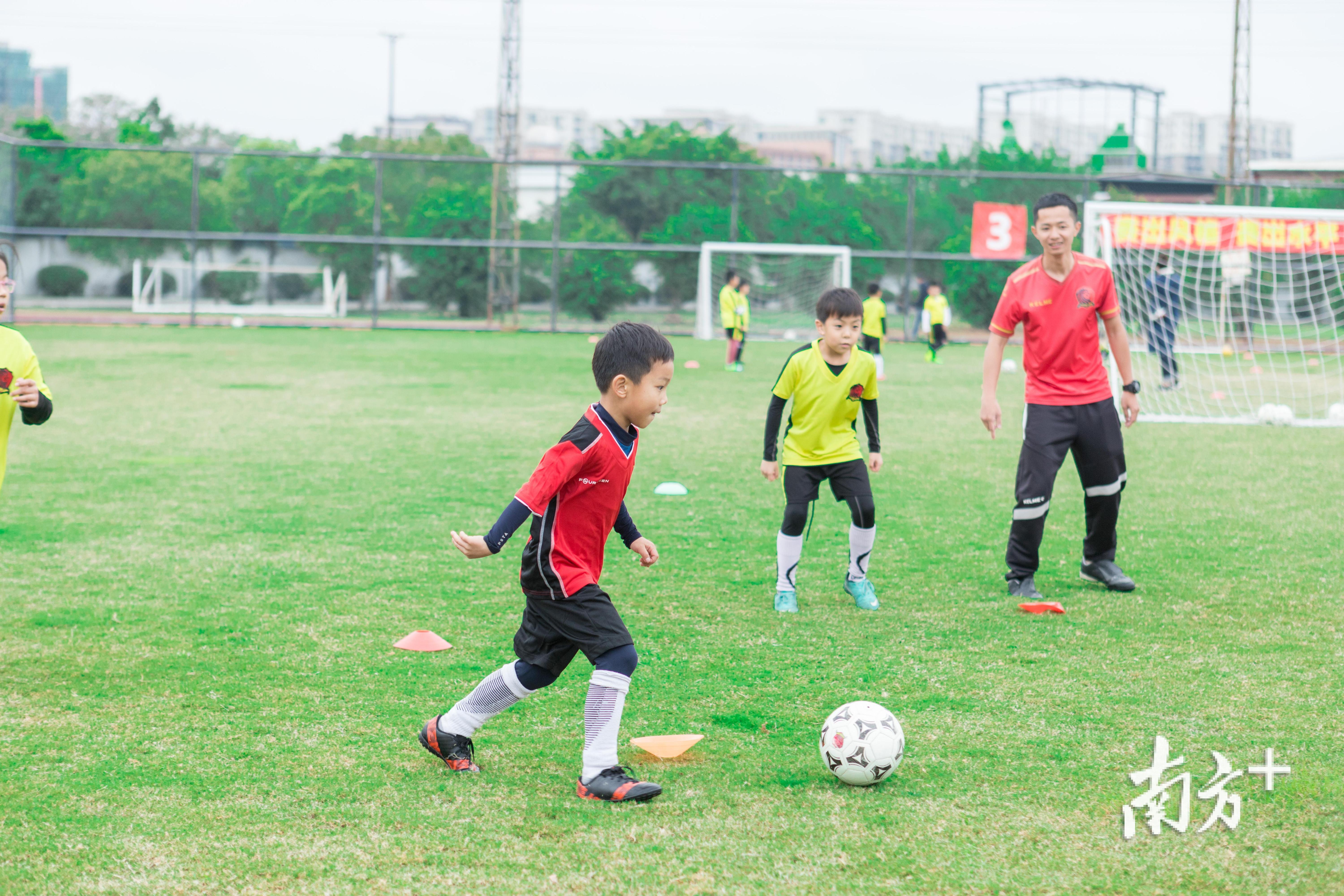 俱乐部总经理认为陈伦岳反应灵敏、协同作战能力强，是踢球的好苗子。