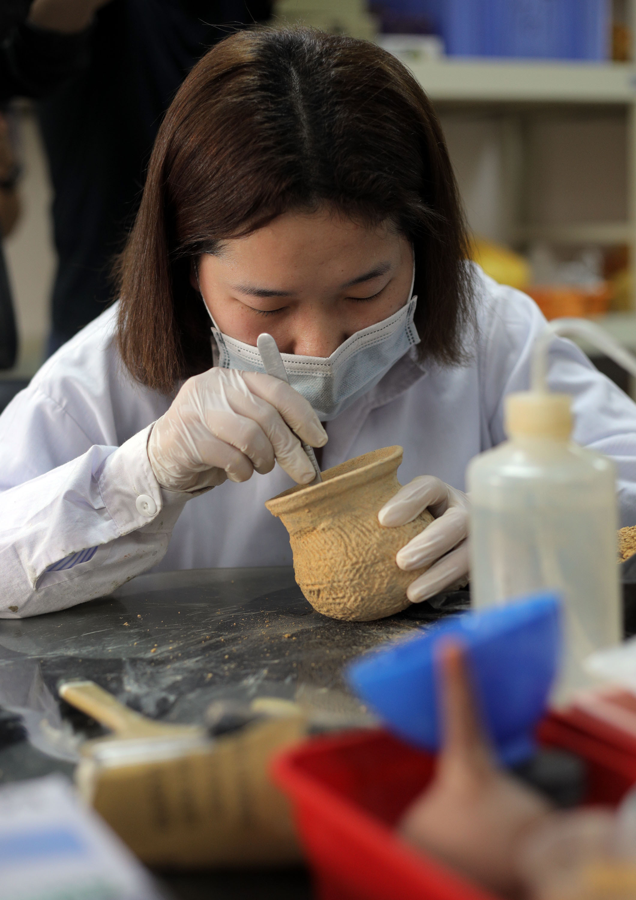 4400年前老广开始植栽水稻广州知识城有重大考古发现