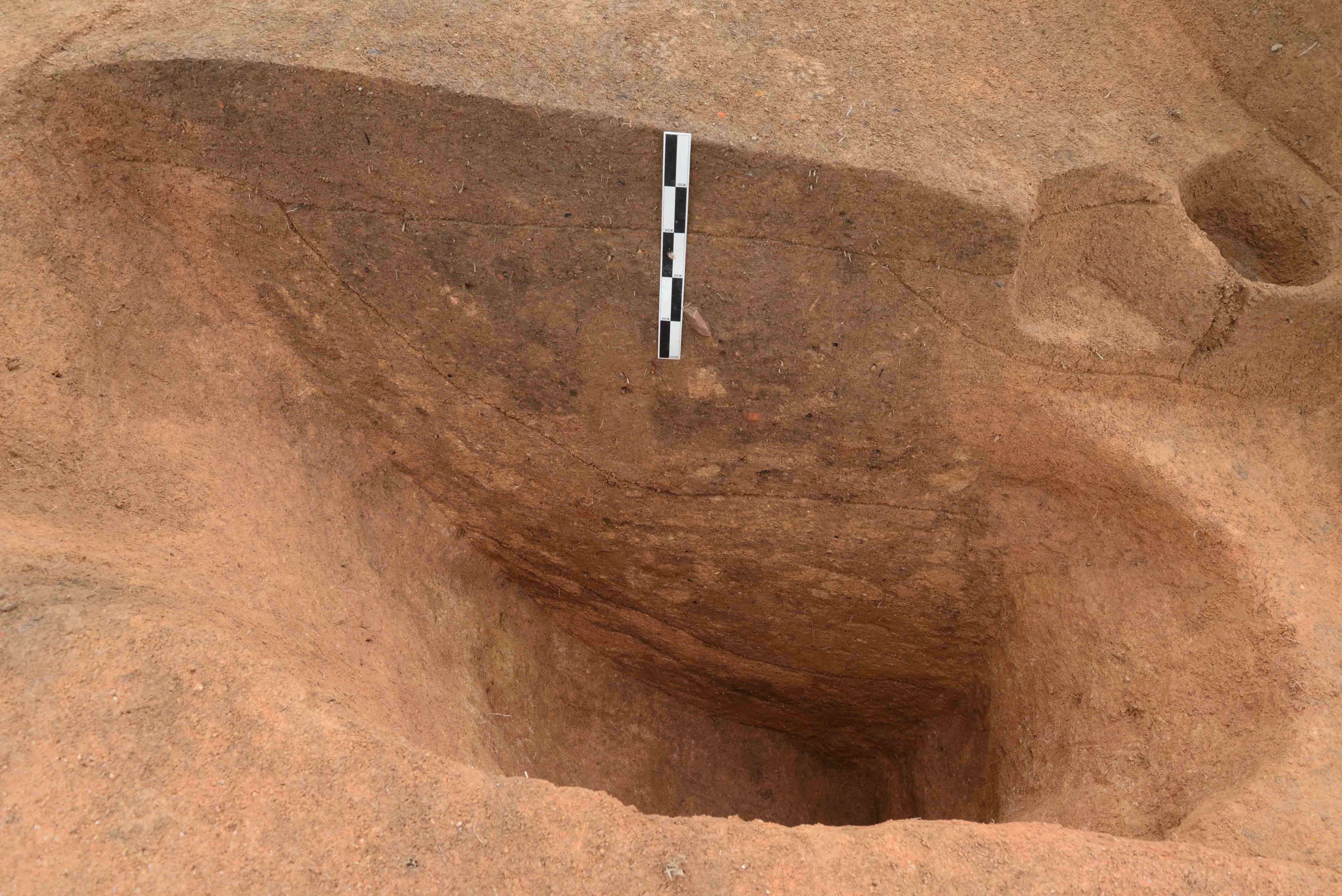 4400年前老广开始植栽水稻广州知识城有重大考古发现